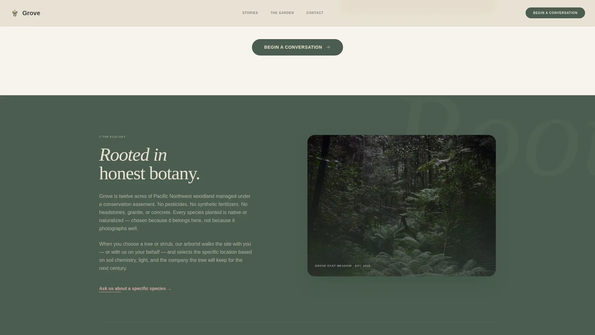 Funeral Services Reviews & Social Proof Website Template