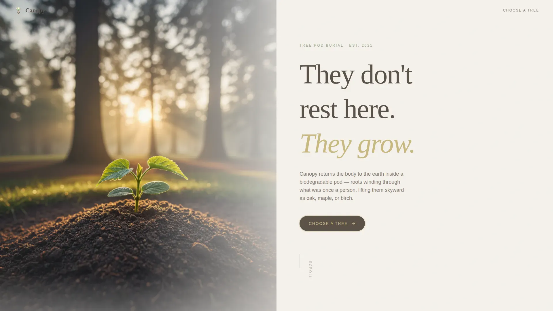 Tree Pod Burial Landing Page Template | Nature Memorial
