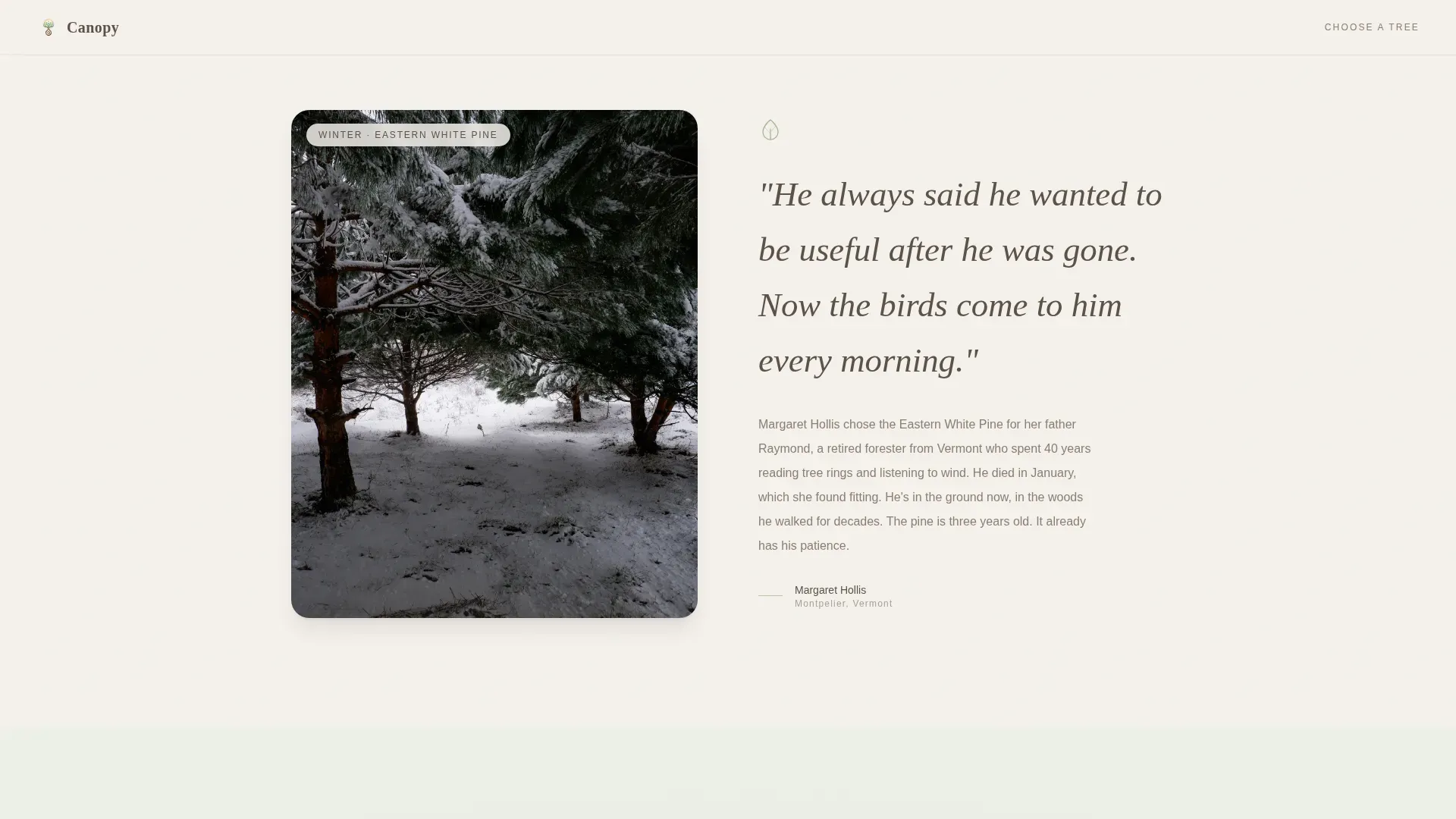 Tree Pod Burial Landing Page Template | Nature Memorial
