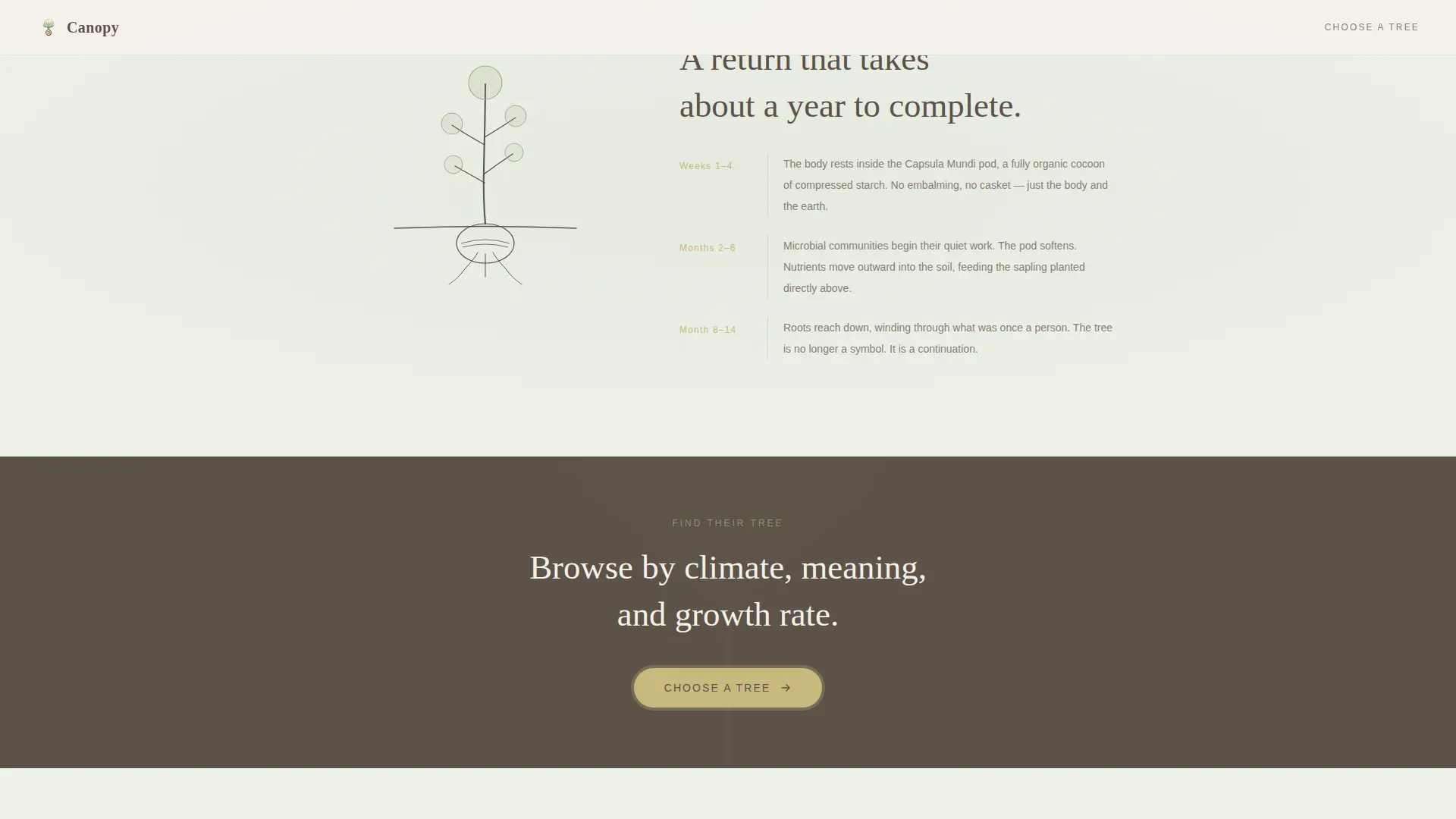 Tree Pod Burial Landing Page Template | Nature Memorial