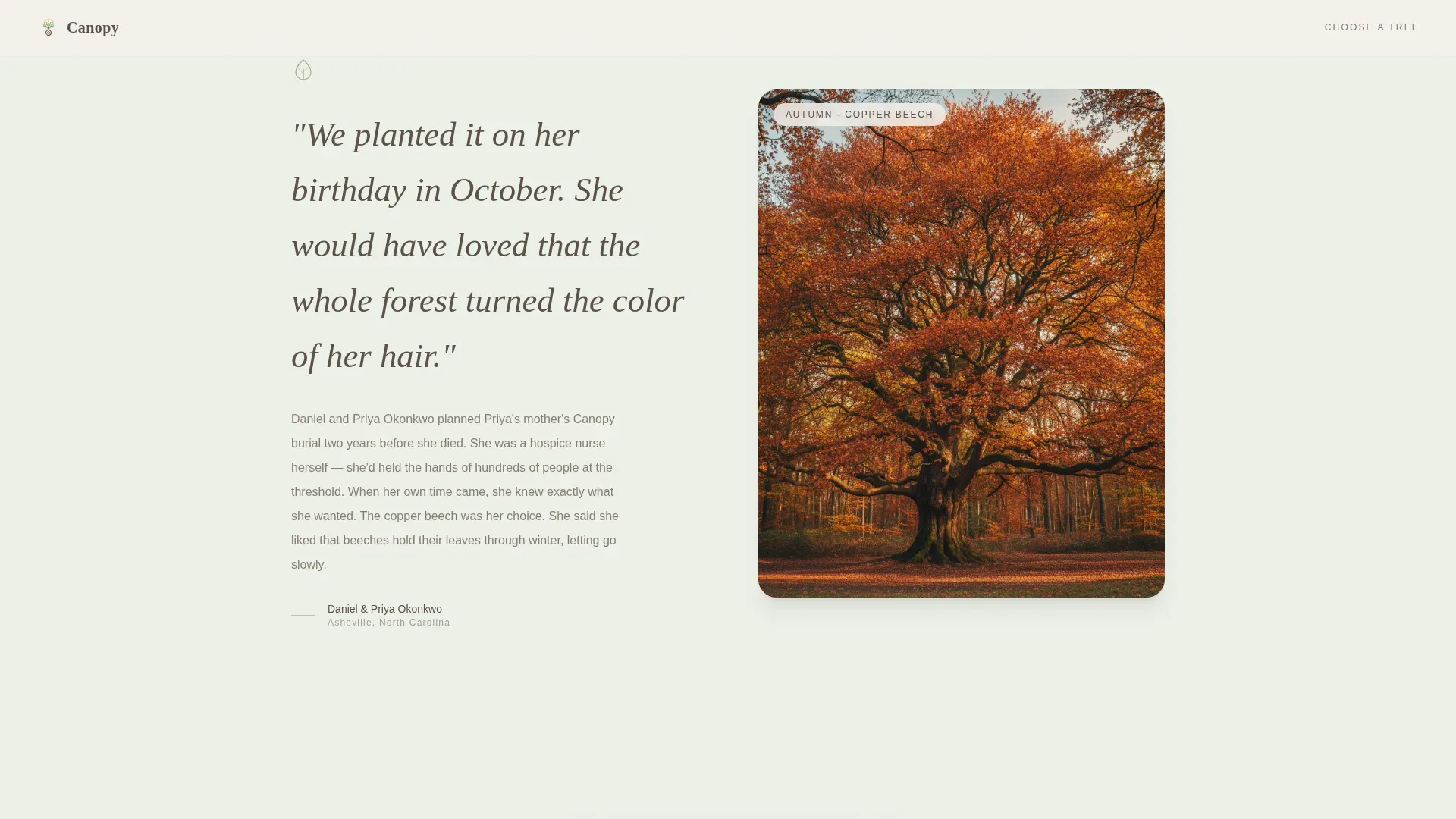 Tree Pod Burial Landing Page Template | Nature Memorial