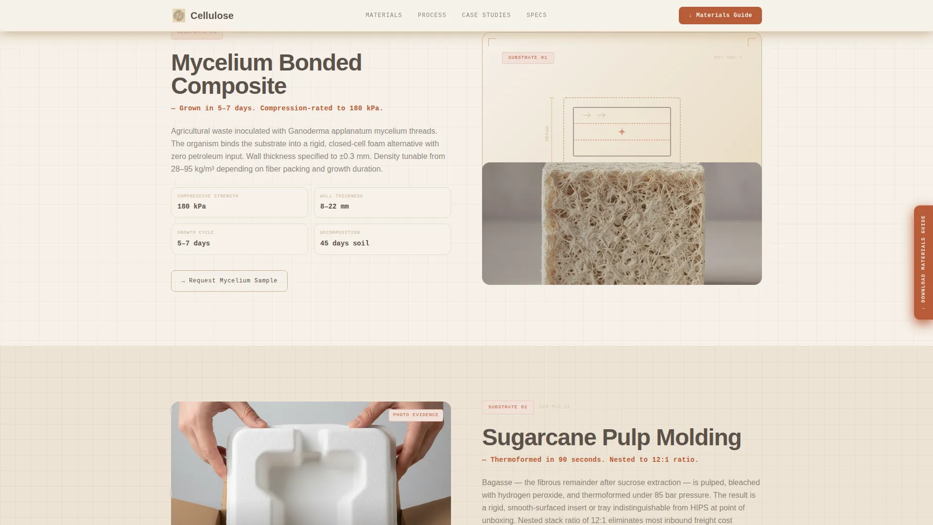 Sustainability & Green Business Professional Website Template