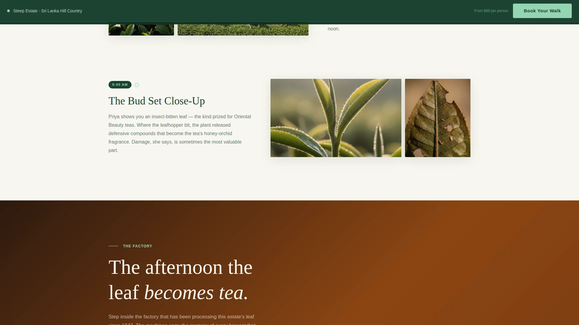 Agri-Tourism & Farm Experience Booking Website Template