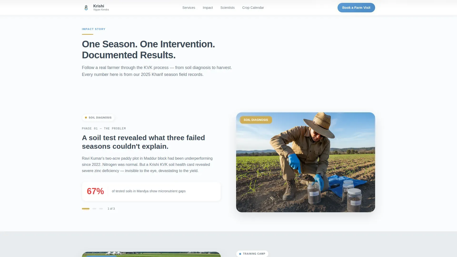 Innovative Extension Services Landing Page Template