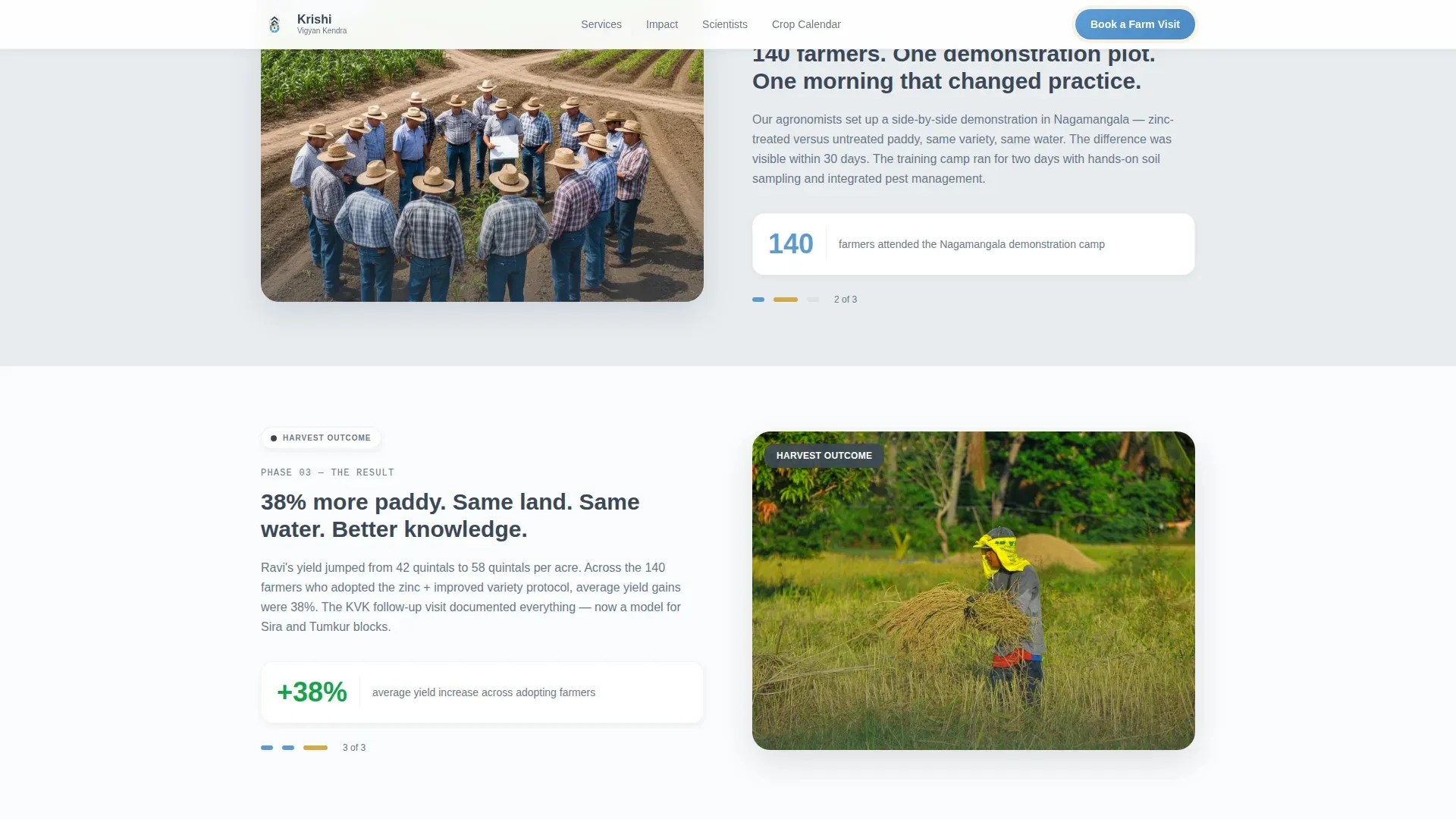 Innovative Extension Services Landing Page Template