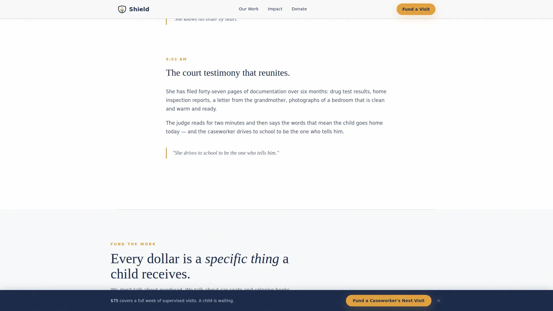 Child Protective Services Donation Landing Page