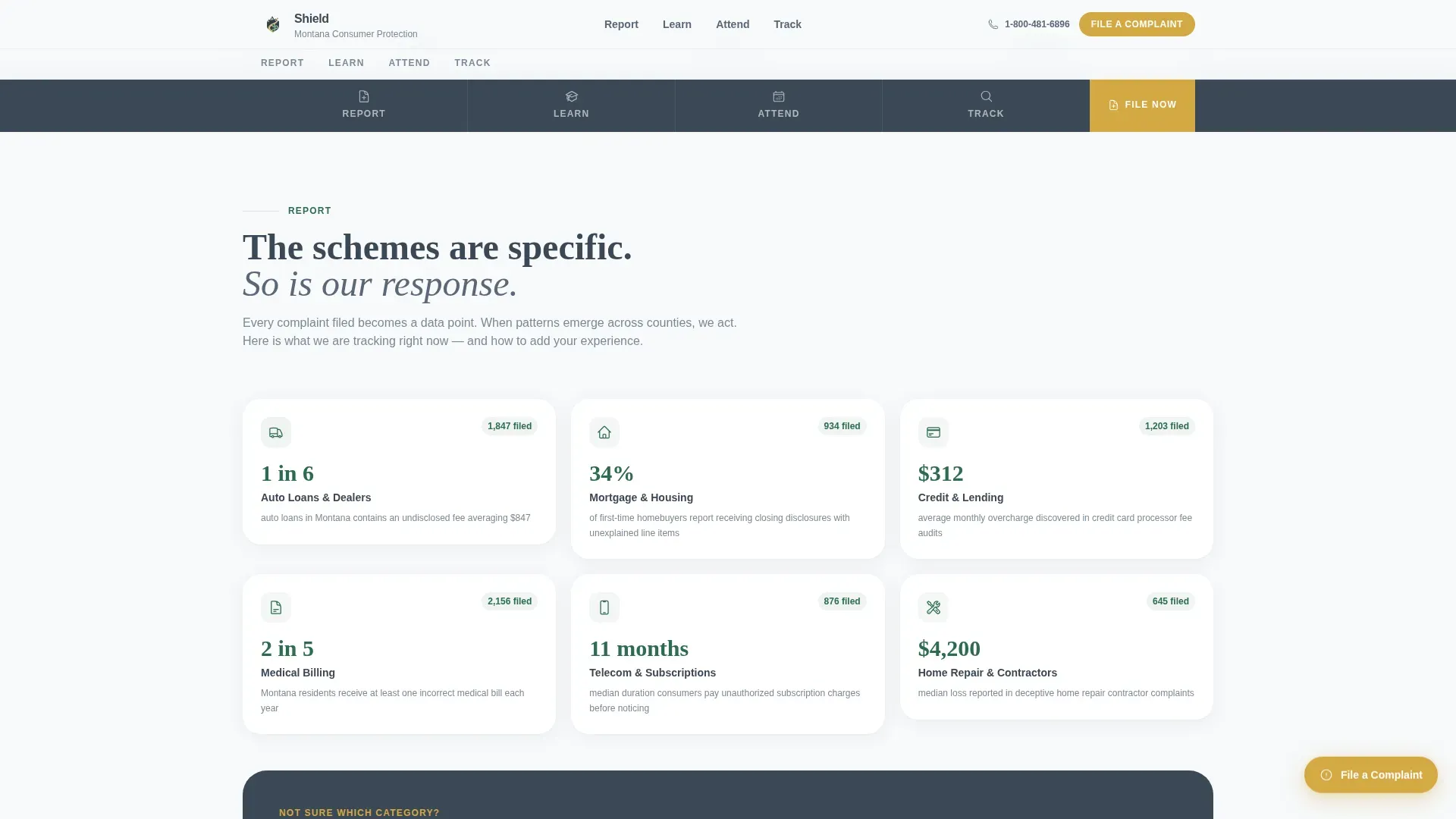 Consumer Protection Government Landing Page Template