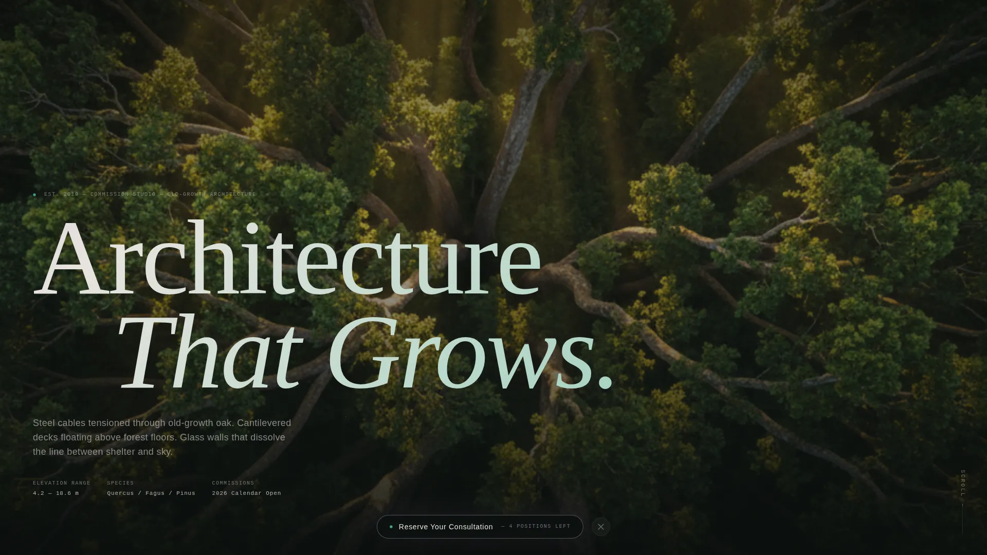 Residential Specialty Design Pre-Launch Website Template