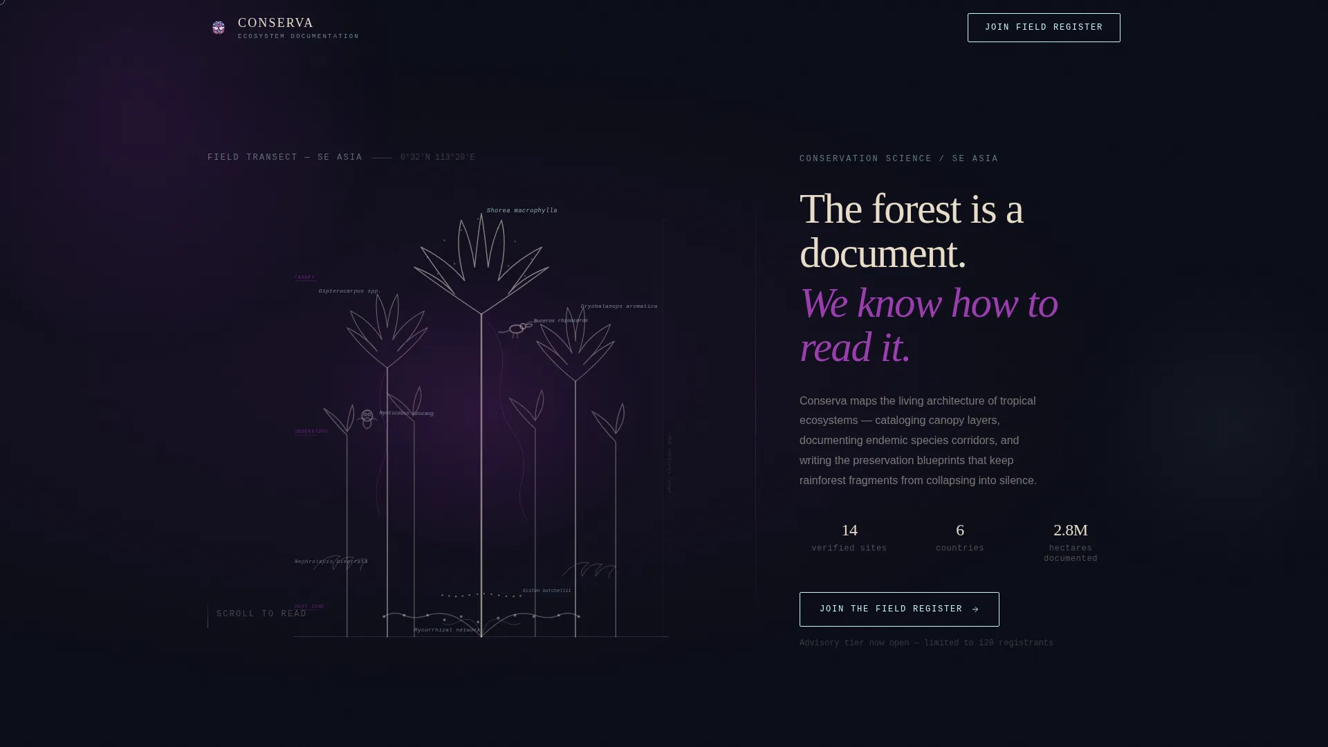 Tropical Architecture Pre-Launch Website Template