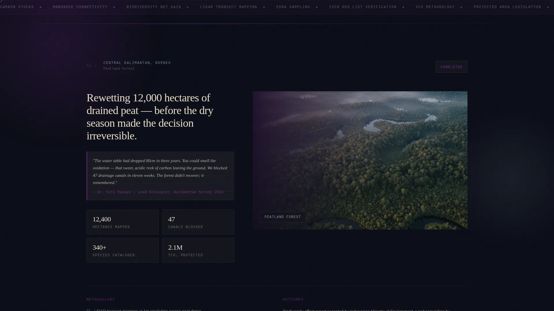Tropical Architecture Pre-Launch Website Template
