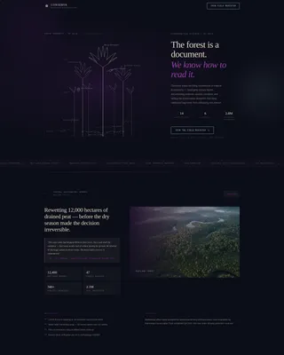 Tropical Architecture Pre-Launch Website Template