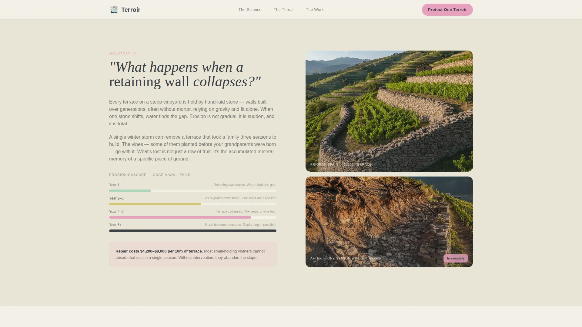 Alpine Vineyard Landing Page Template