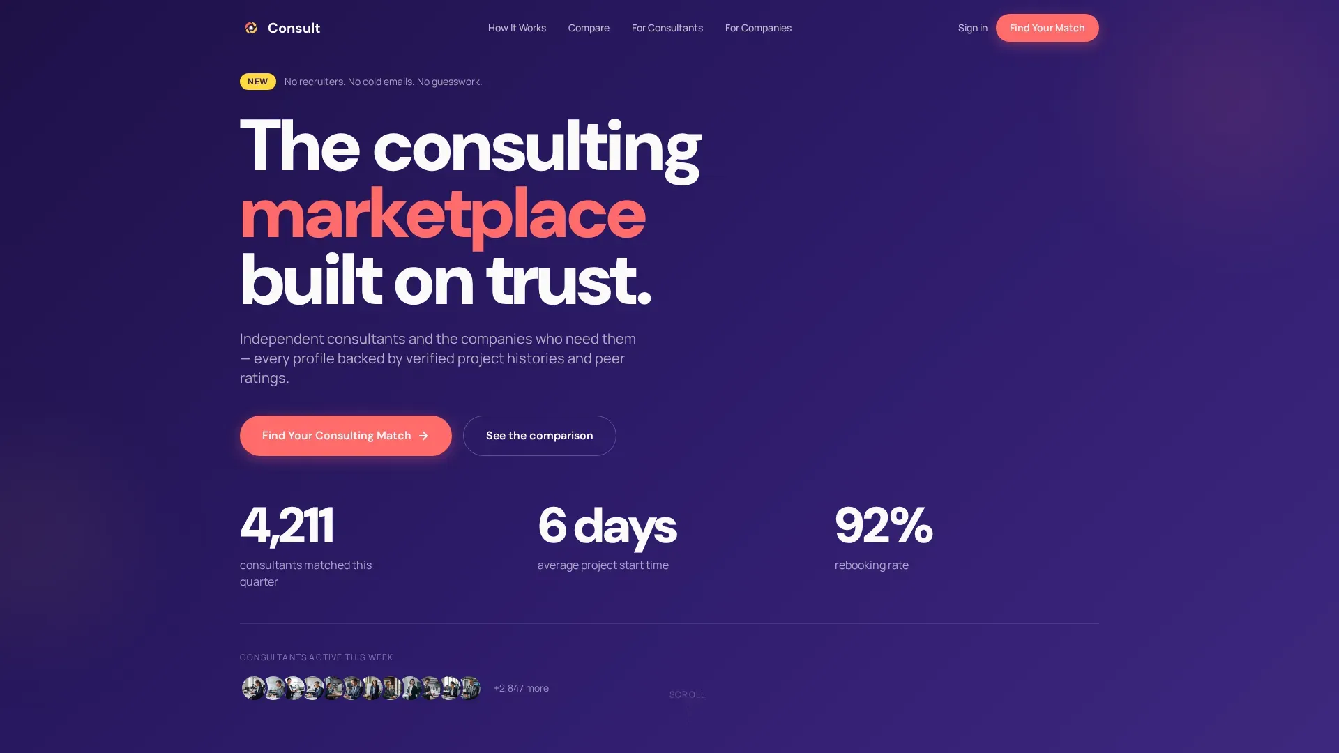 Consulting Marketplace Landing Page Template