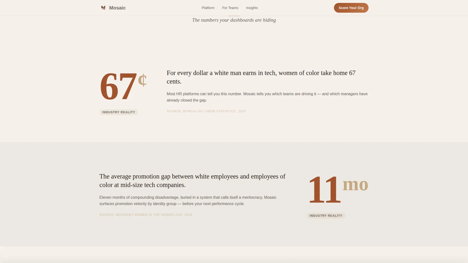 DEI & Inclusion Professional Website Template
