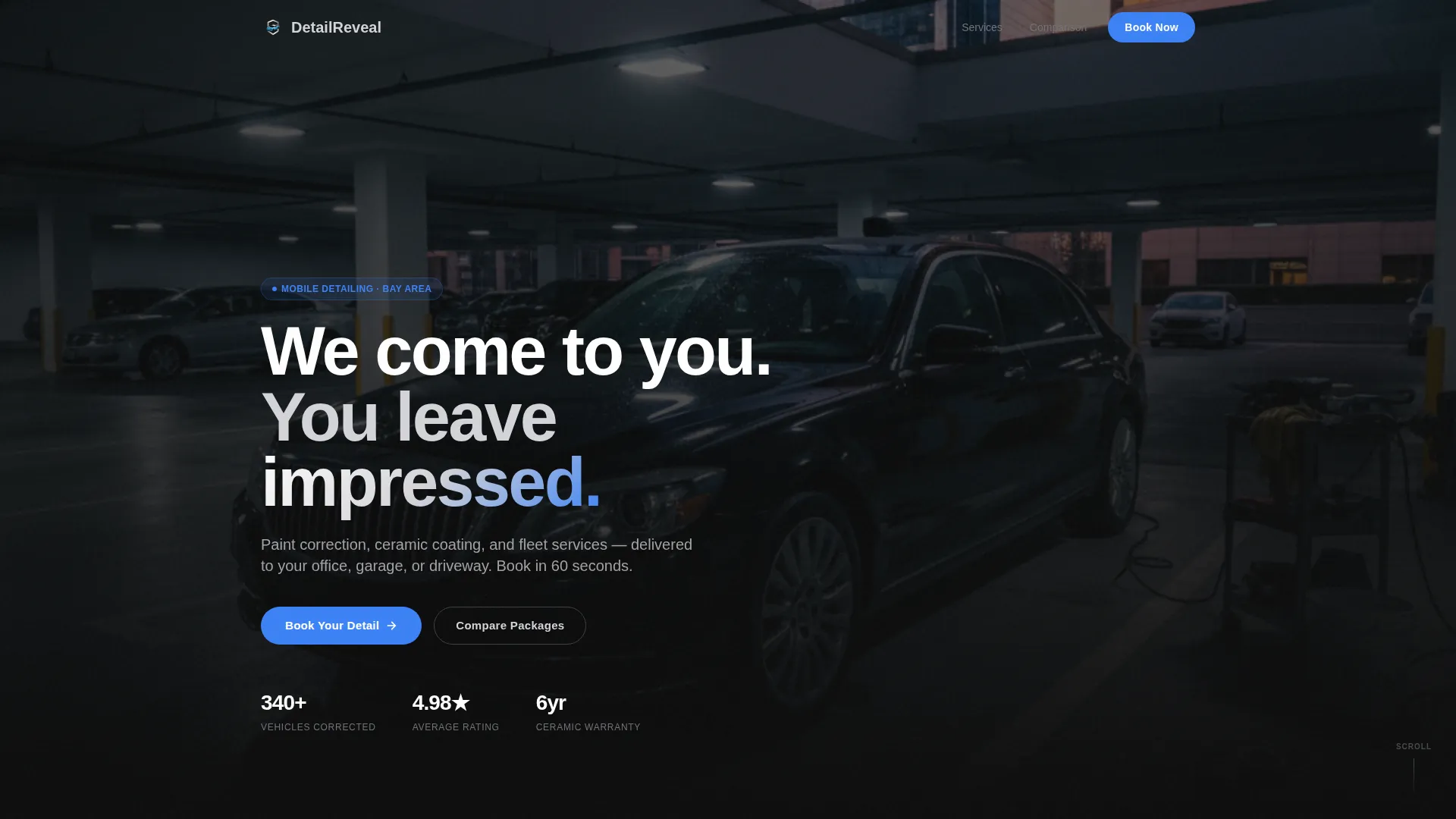 Mobile Detailing Landing Page Template