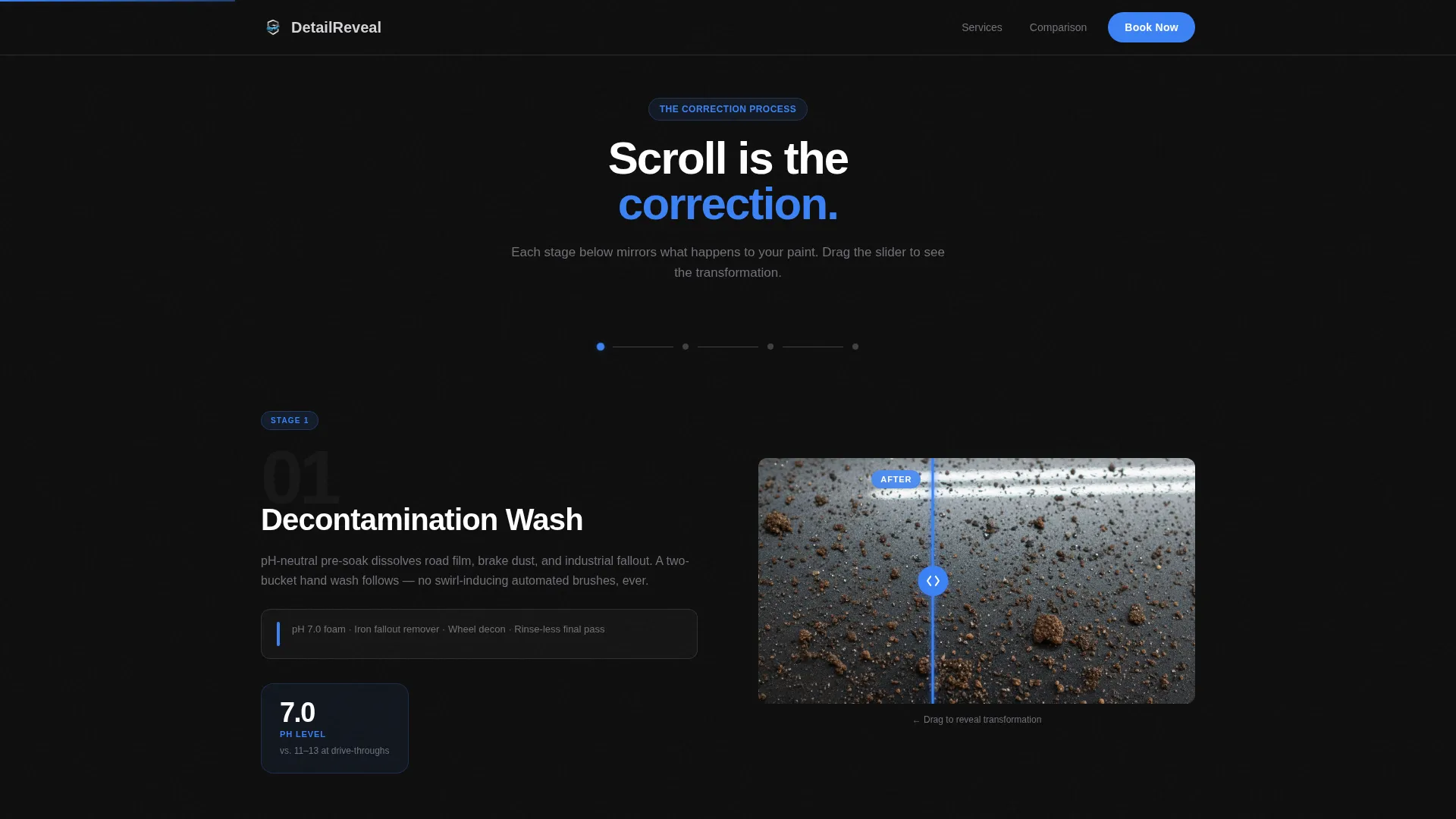 Mobile Detailing Landing Page Template