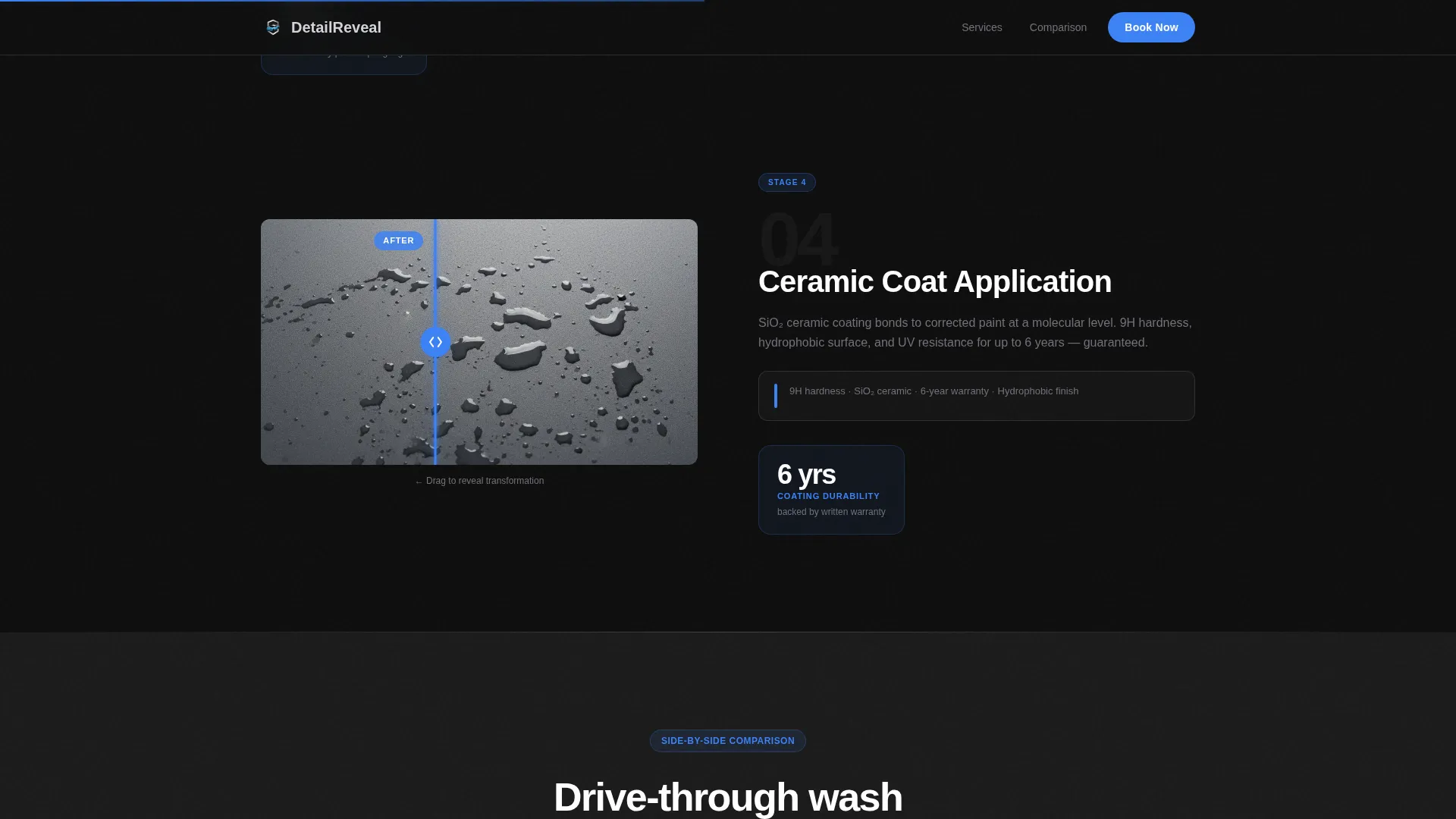 Mobile Detailing Landing Page Template