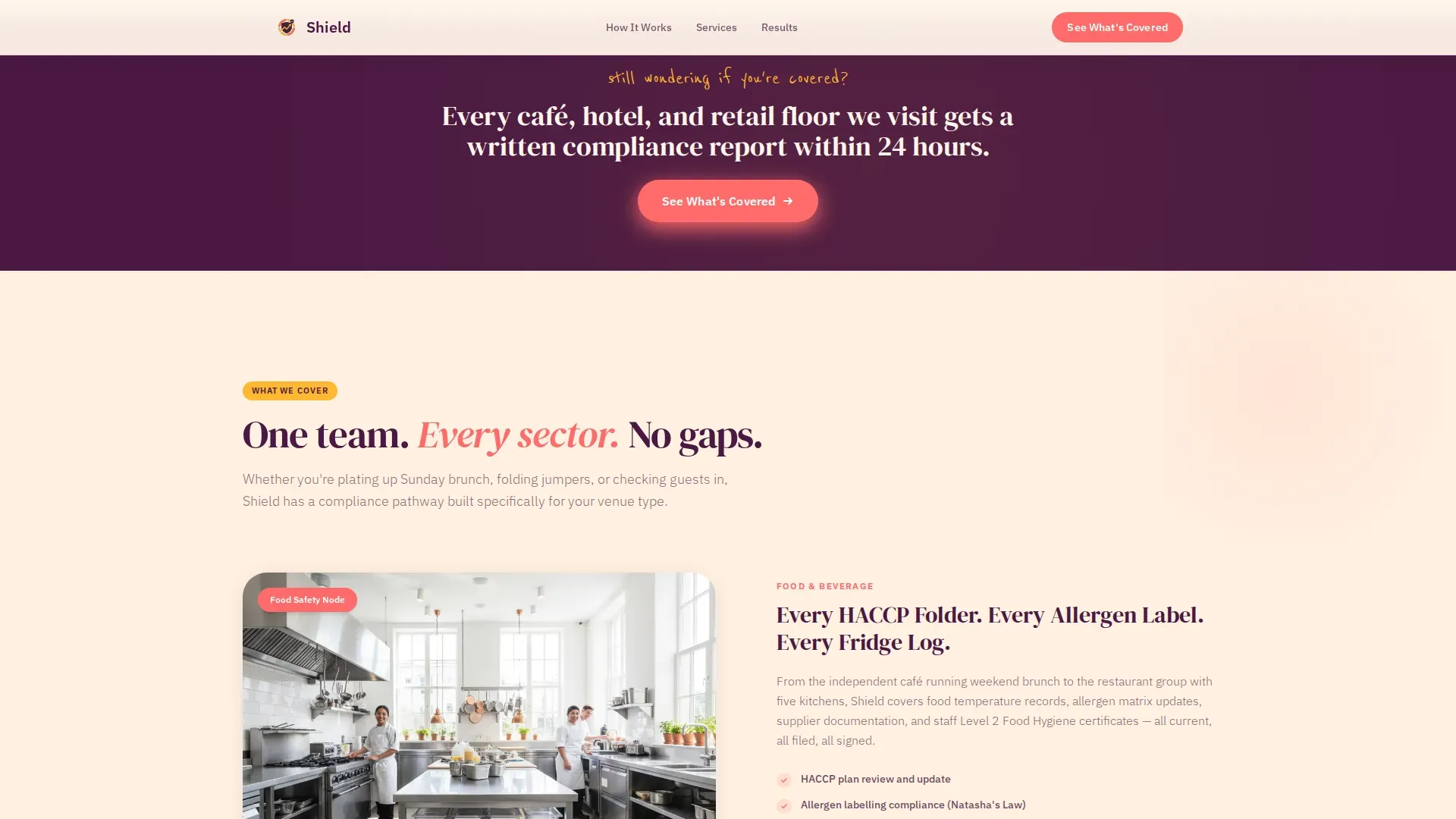 Compliance Services | Free Website Template | Rocket