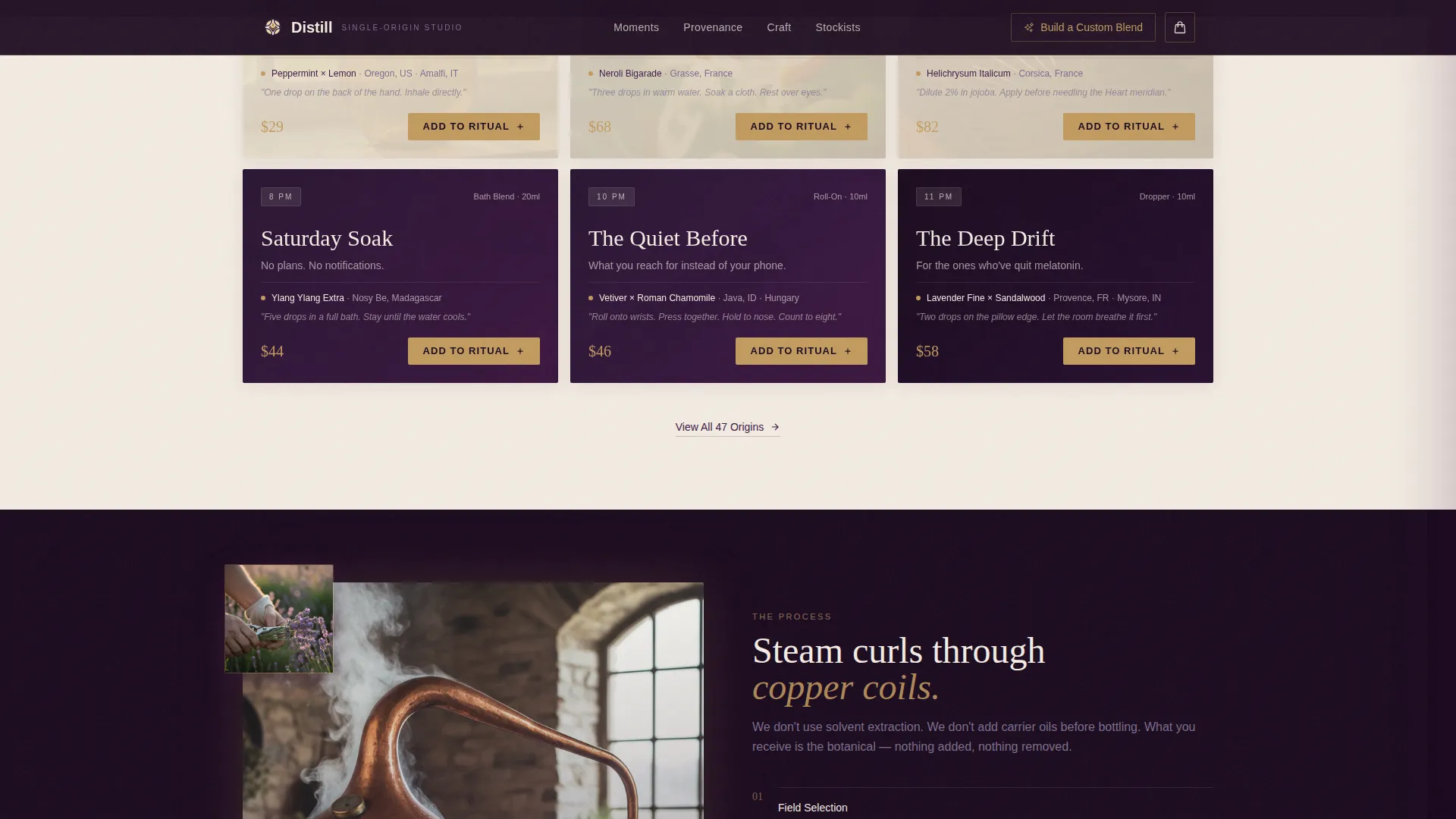 Wellness & Holistic Beauty Professional Website Template