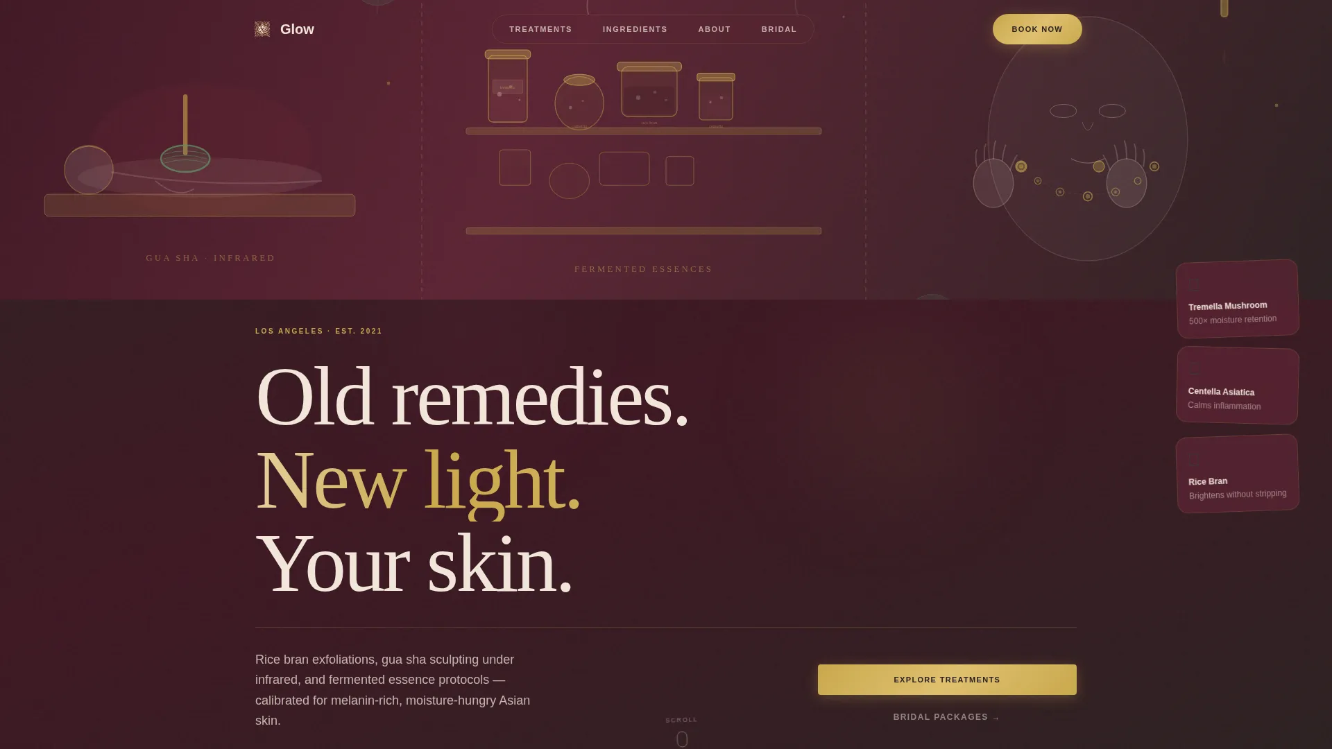 Transformative Complexion | Free Website Template | Rocket