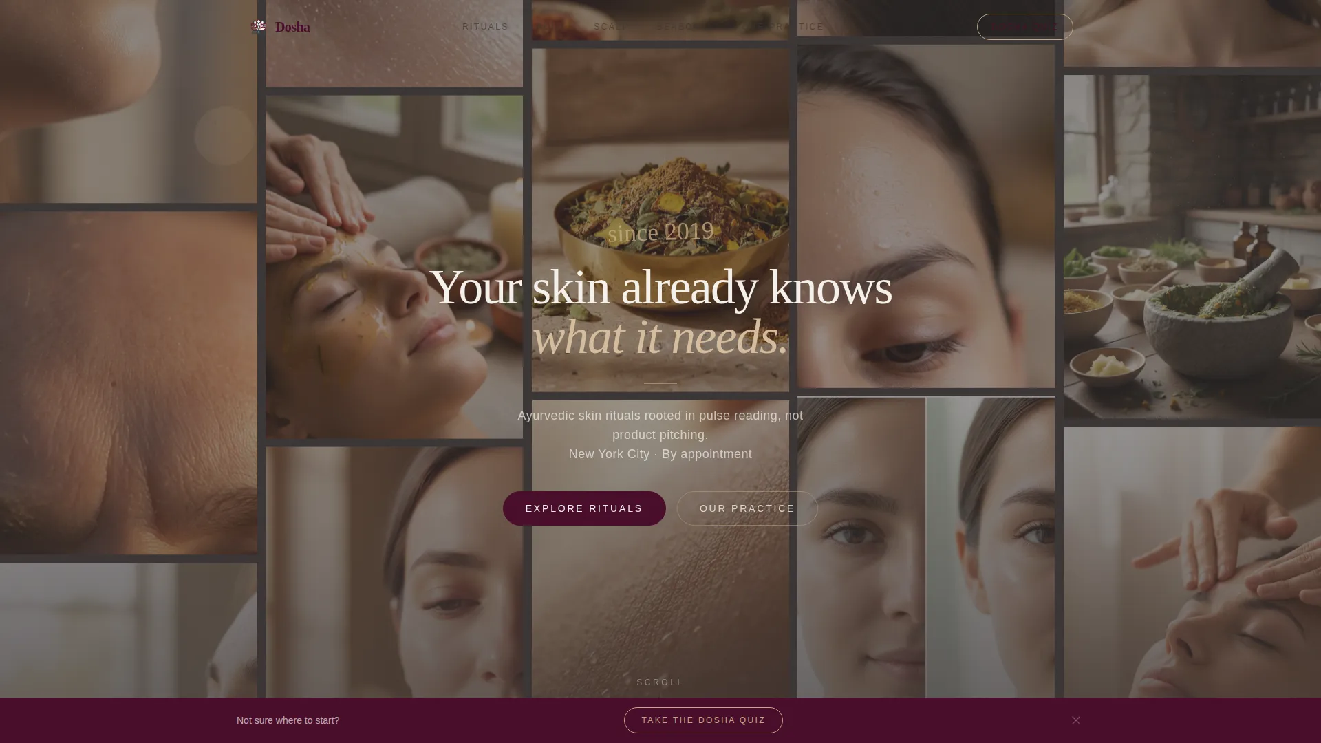 Luxe Ayurvedic | Free Website Template | Rocket