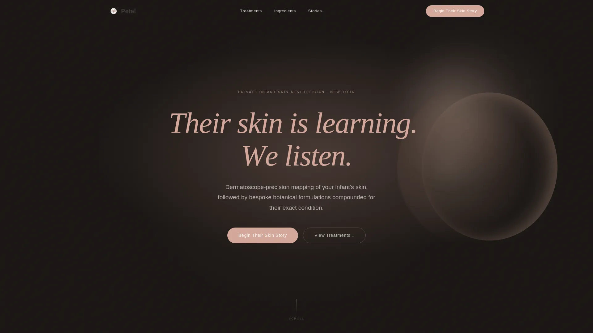 Luxe Aesthetician | Free Website Template | Rocket