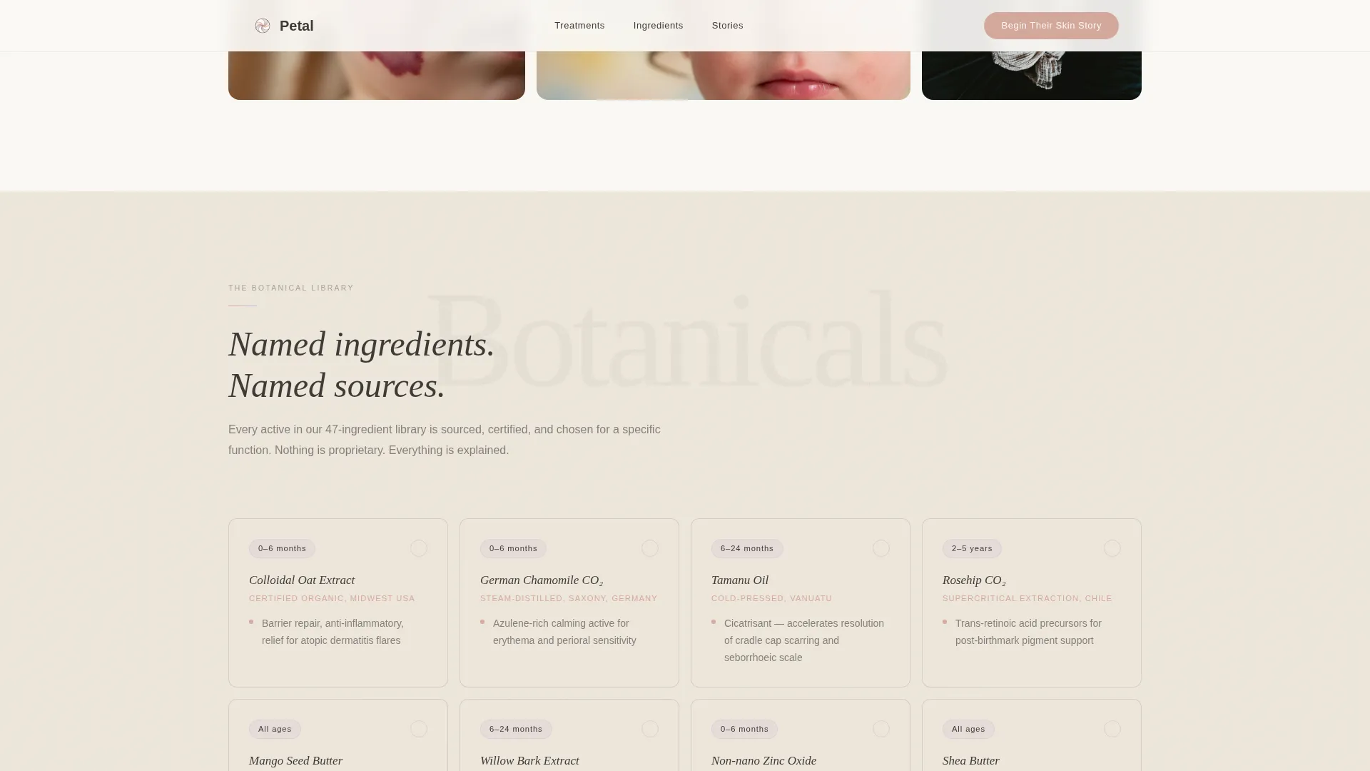 Luxe Aesthetician | Free Website Template | Rocket