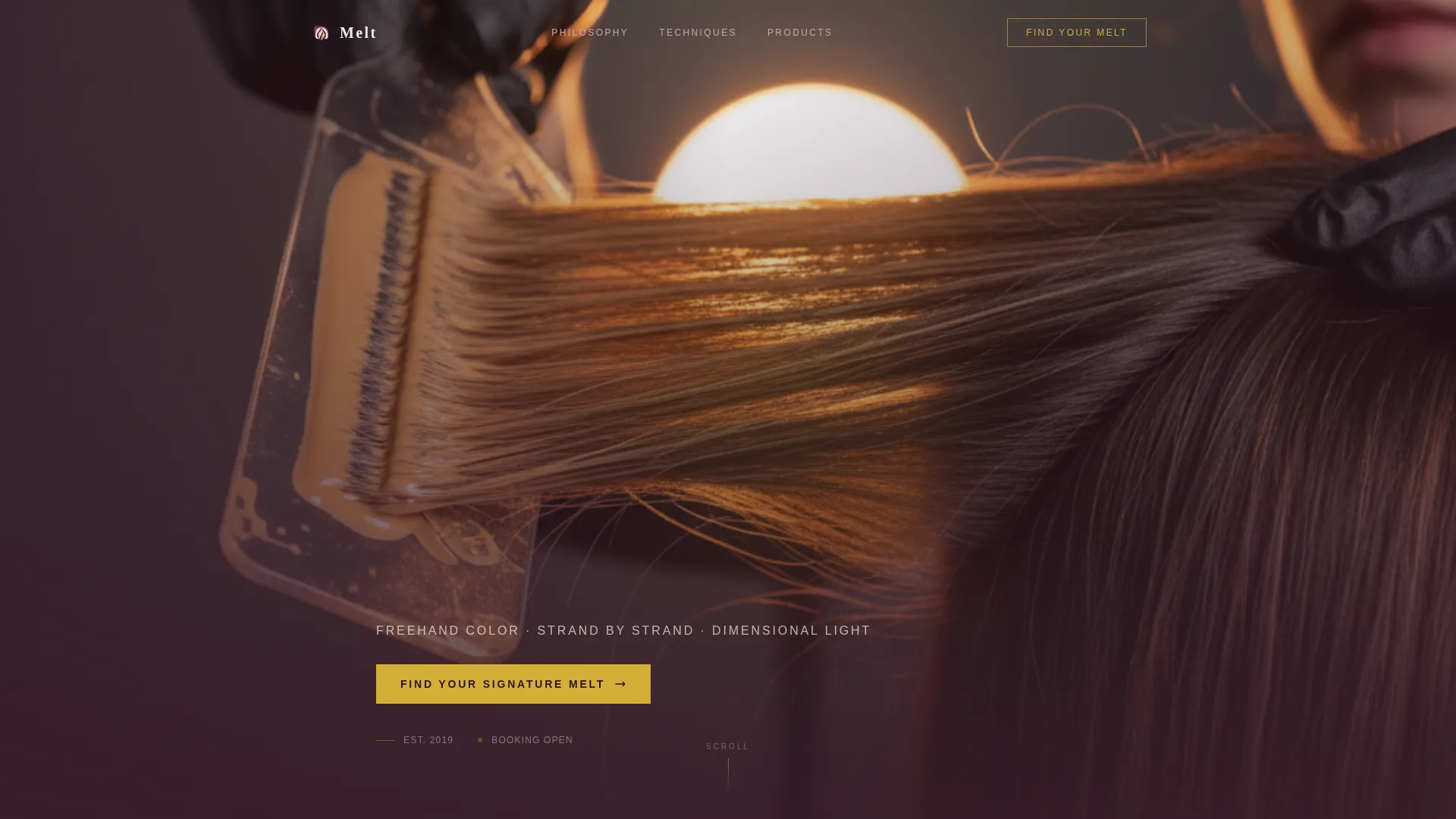 Radiant Balayage Landing Page Template