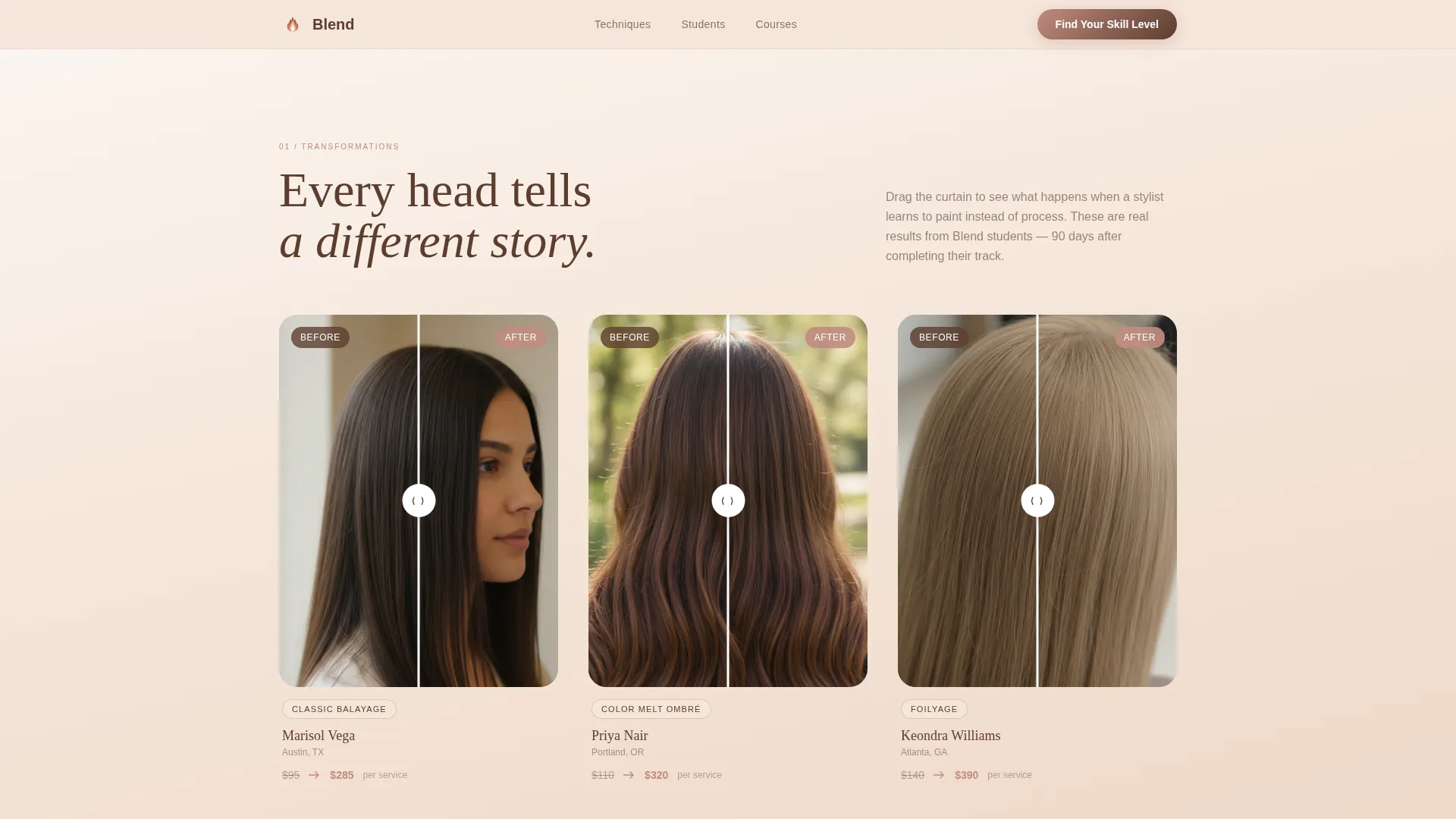 Balayage & Ombré Training Academy Landing Page Template