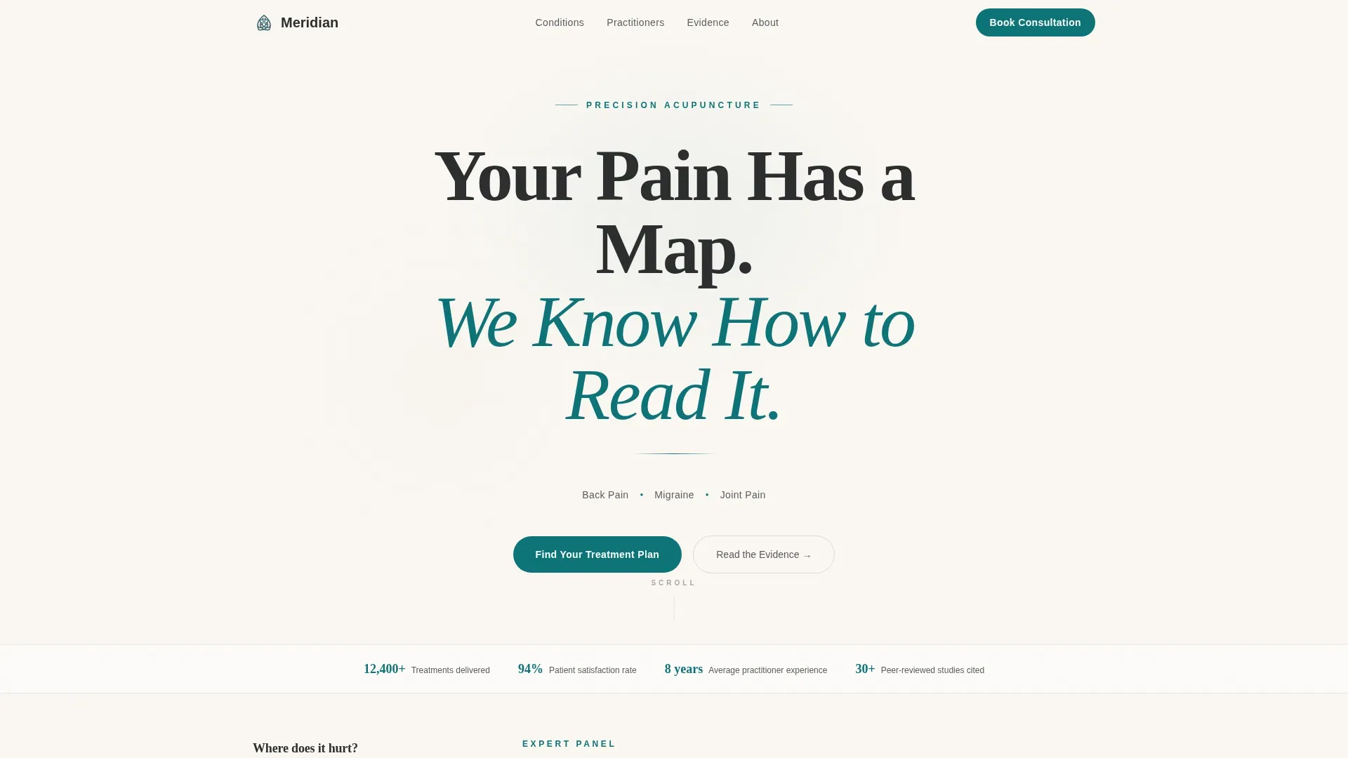 Acupuncture Pain Clinic Landing Page Template