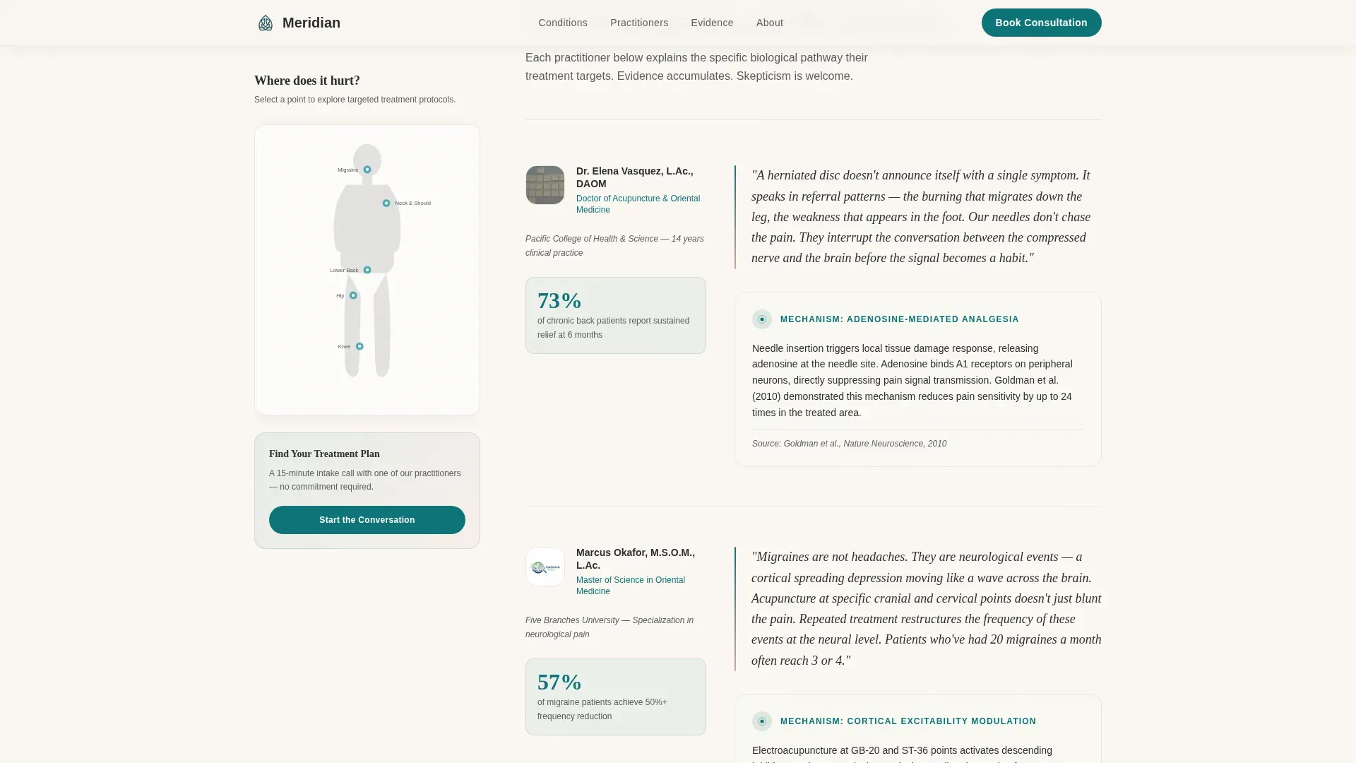 Acupuncture Pain Clinic Landing Page Template