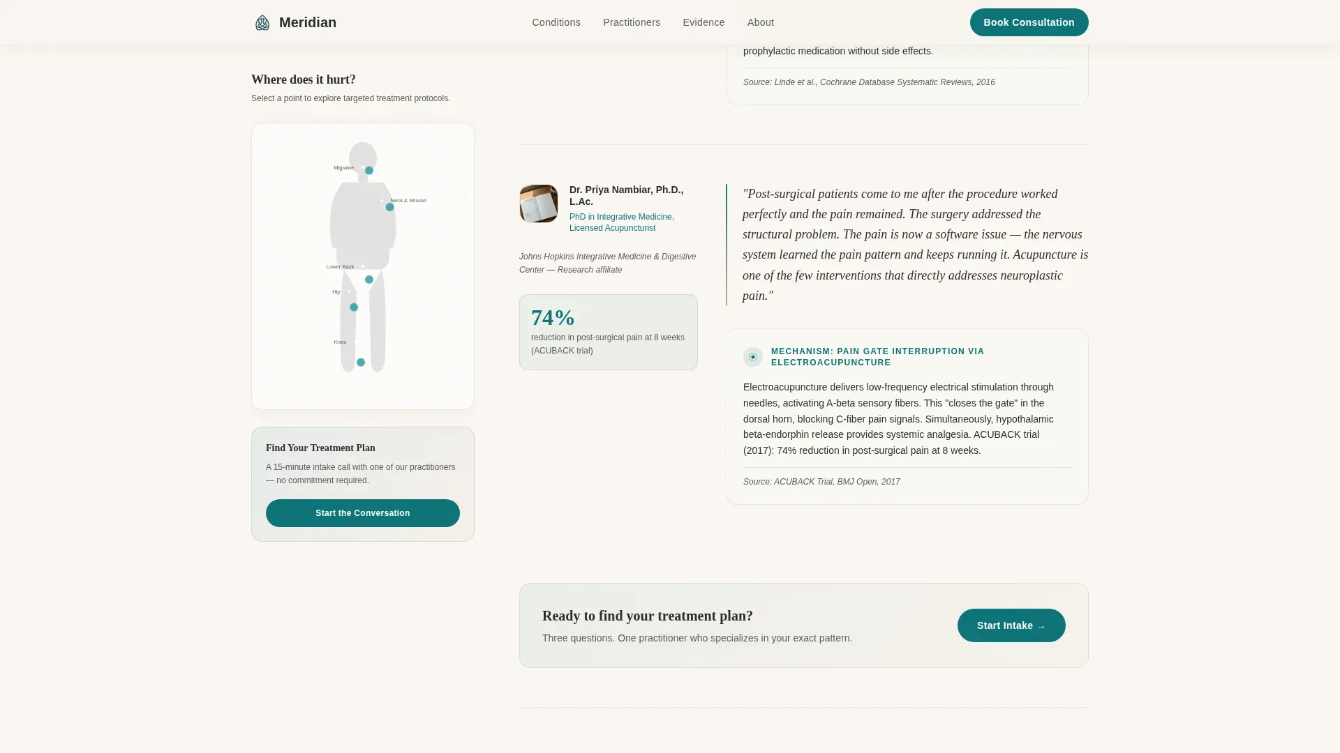 Acupuncture Pain Clinic Landing Page Template