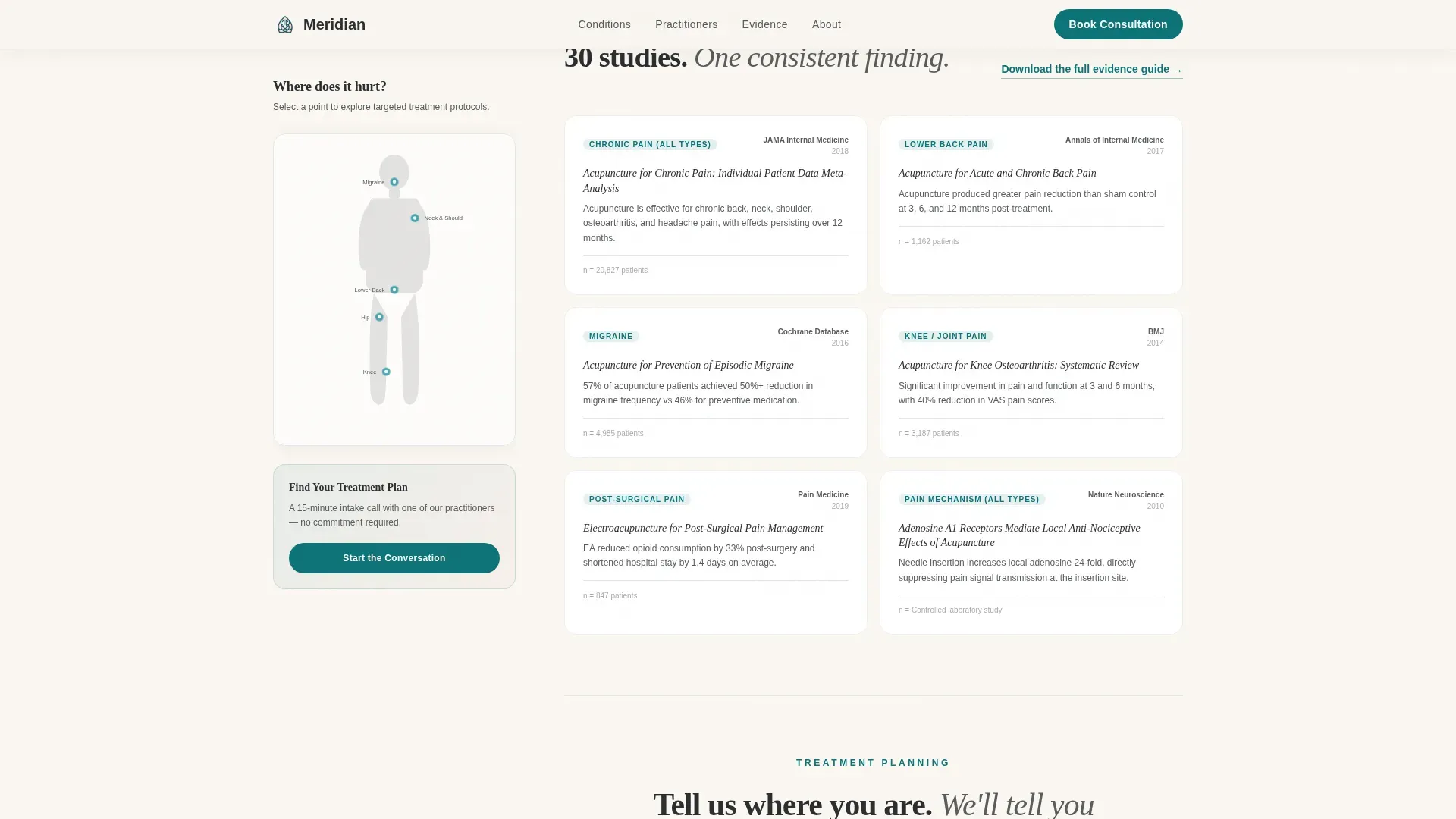 Acupuncture Pain Clinic Landing Page Template