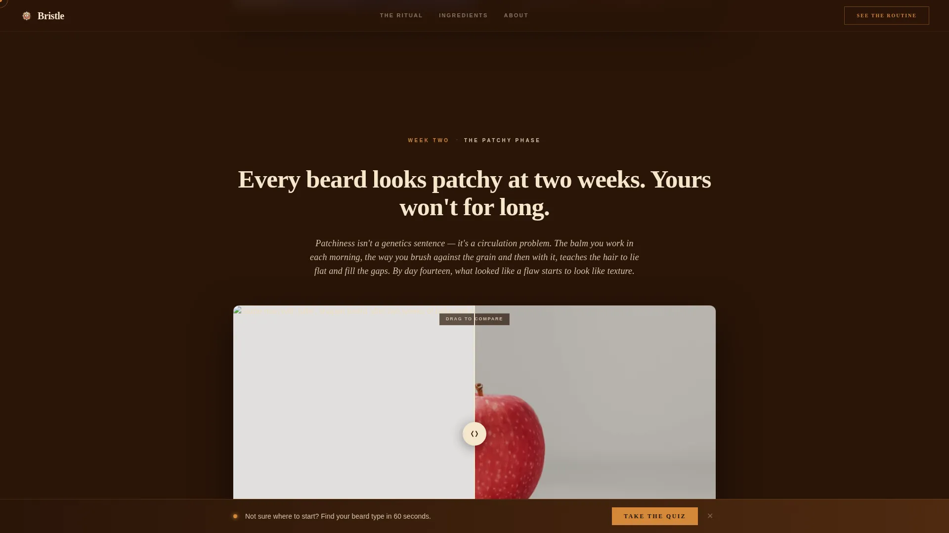 Rugged Grooming | Free Website Template | Rocket