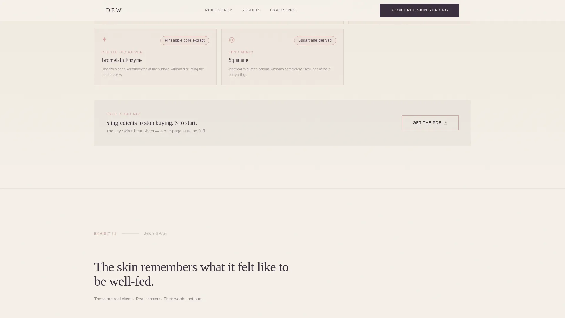Radiant Aesthetician | Free Website Template | Rocket