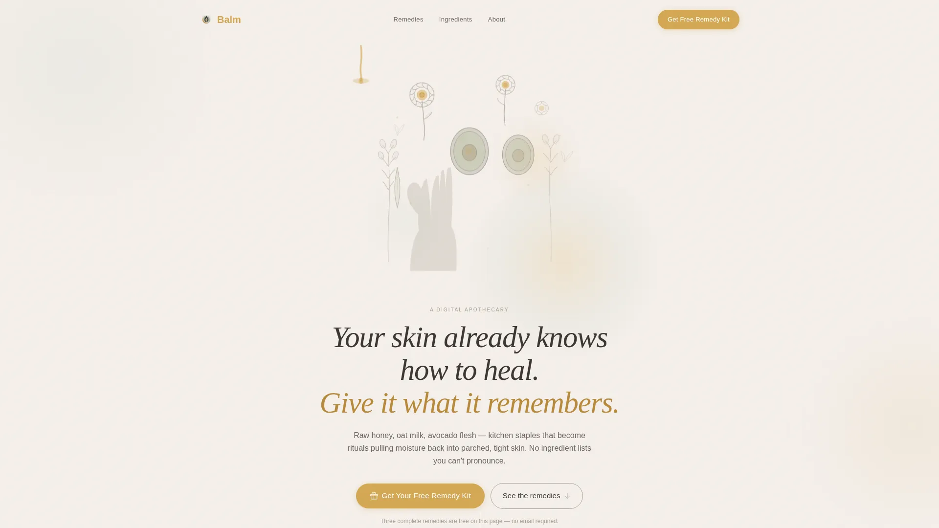 Premium Skin | Free Website Template | Rocket