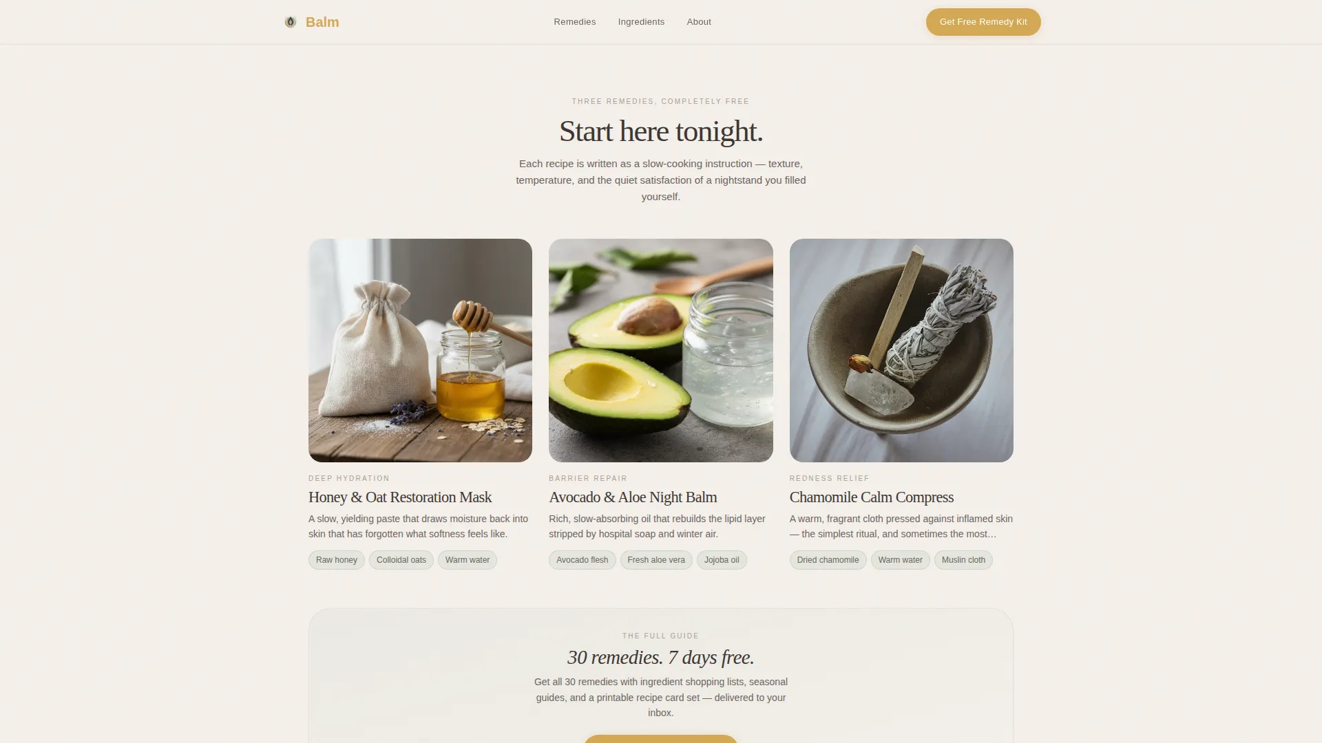 Premium Skin | Free Website Template | Rocket