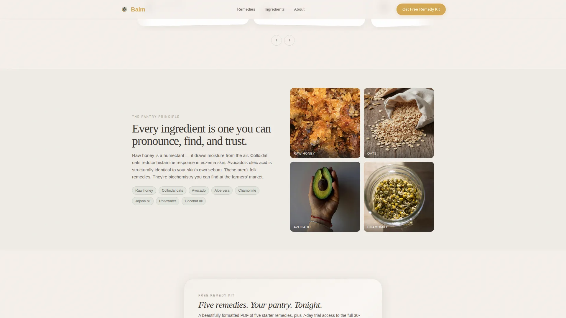 Premium Skin | Free Website Template | Rocket