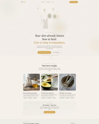 Premium Skin | Free Website Template | Rocket