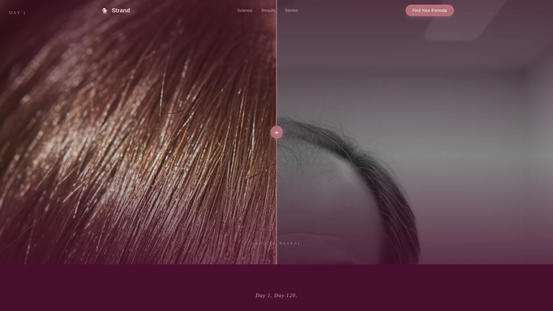 Hair Care Brand & Product Advanced Professional Website Template