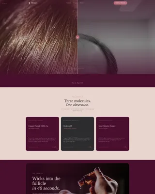 Hair Care Brand & Product Advanced Professional Website Template