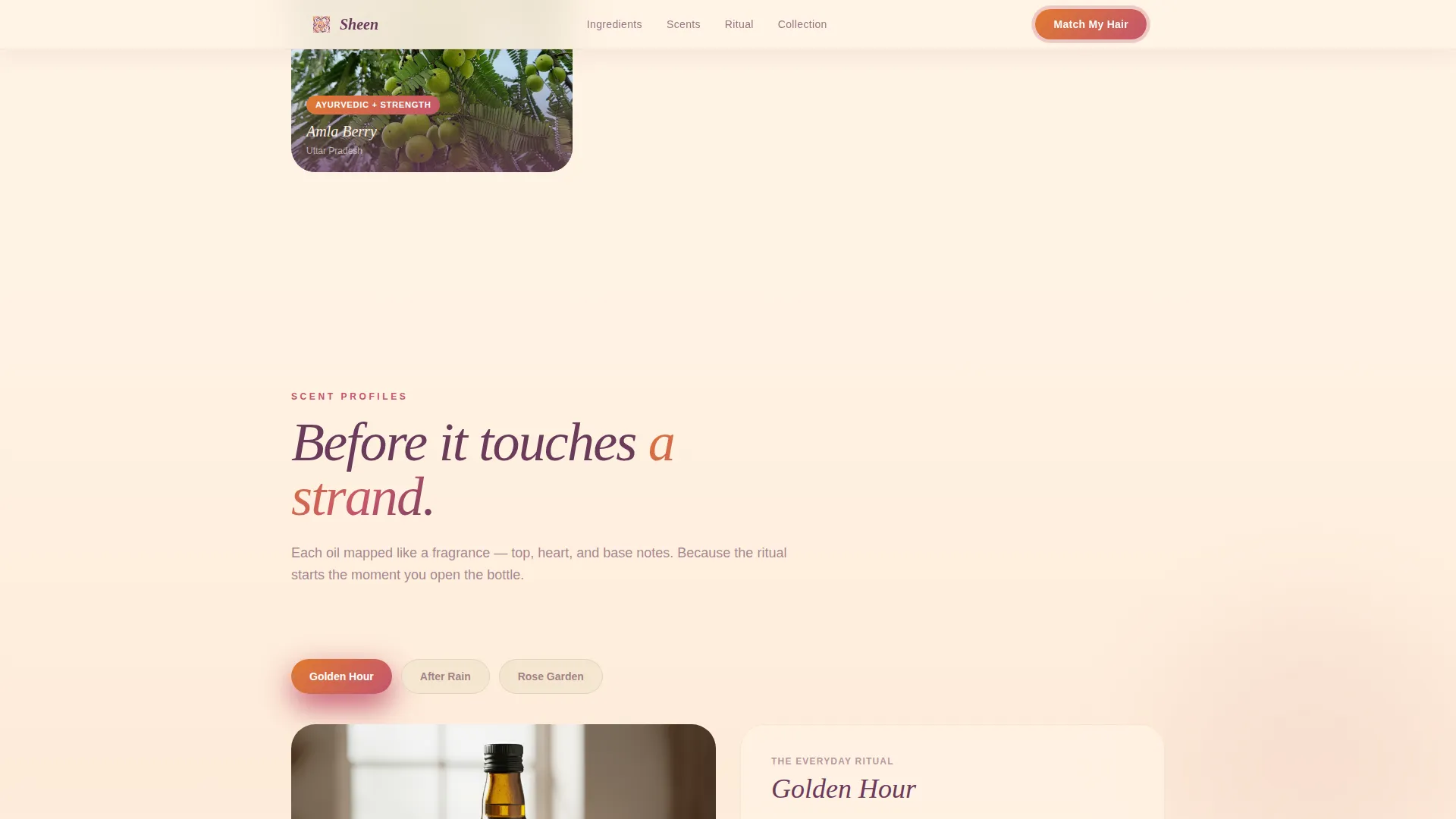 Hair Care Brand & Product Premium Professional Website Template