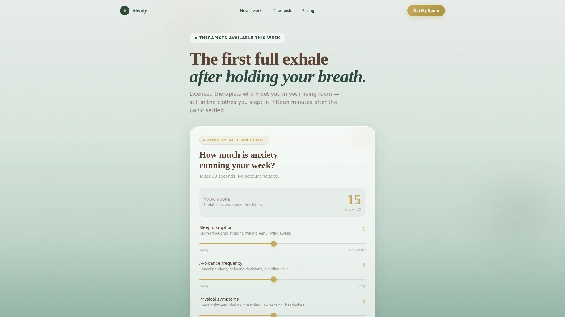 Anxiety Telehealth Landing Page Template