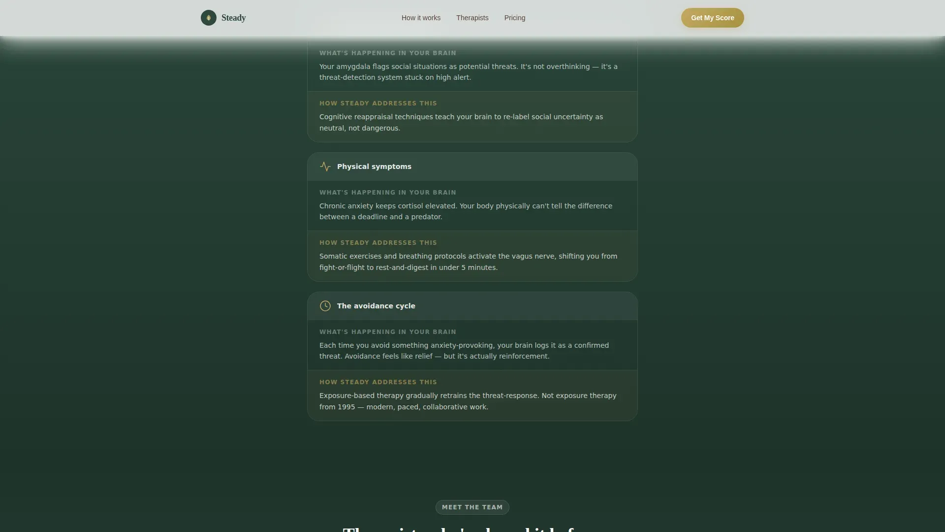 Anxiety Telehealth Landing Page Template