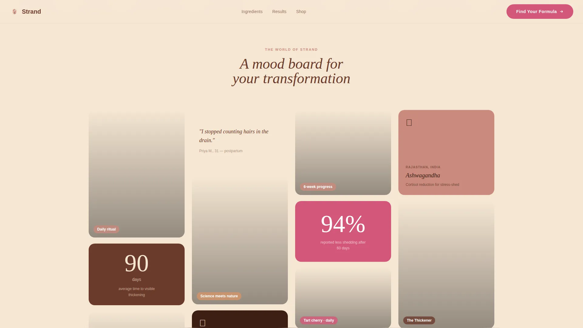 Hair Care Brand & Product Expert Professional Website Template