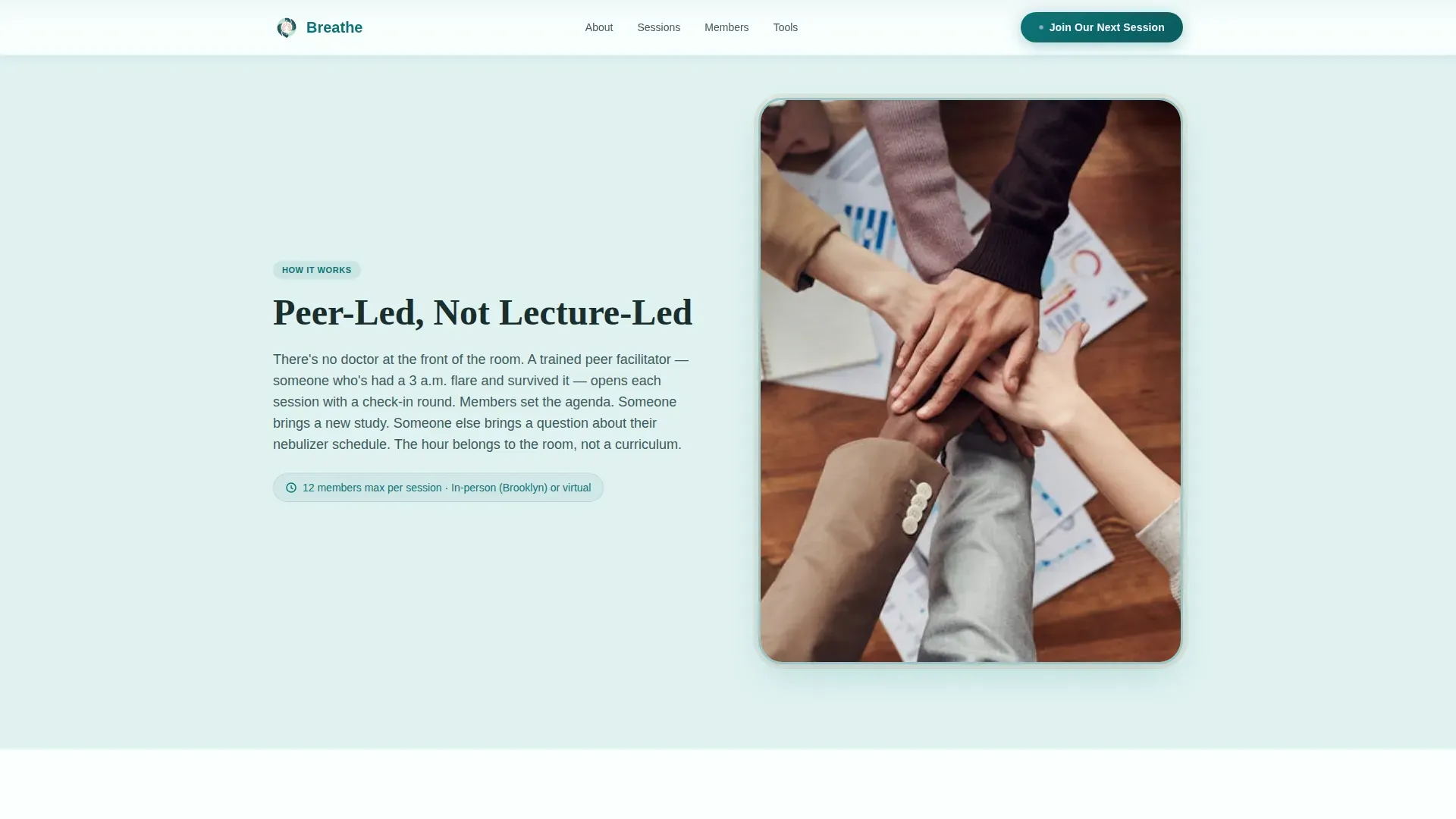 Peer Support Landing Page Template