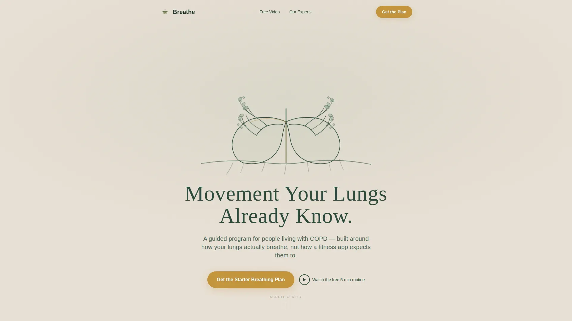 COPD Care Professional Website Template
