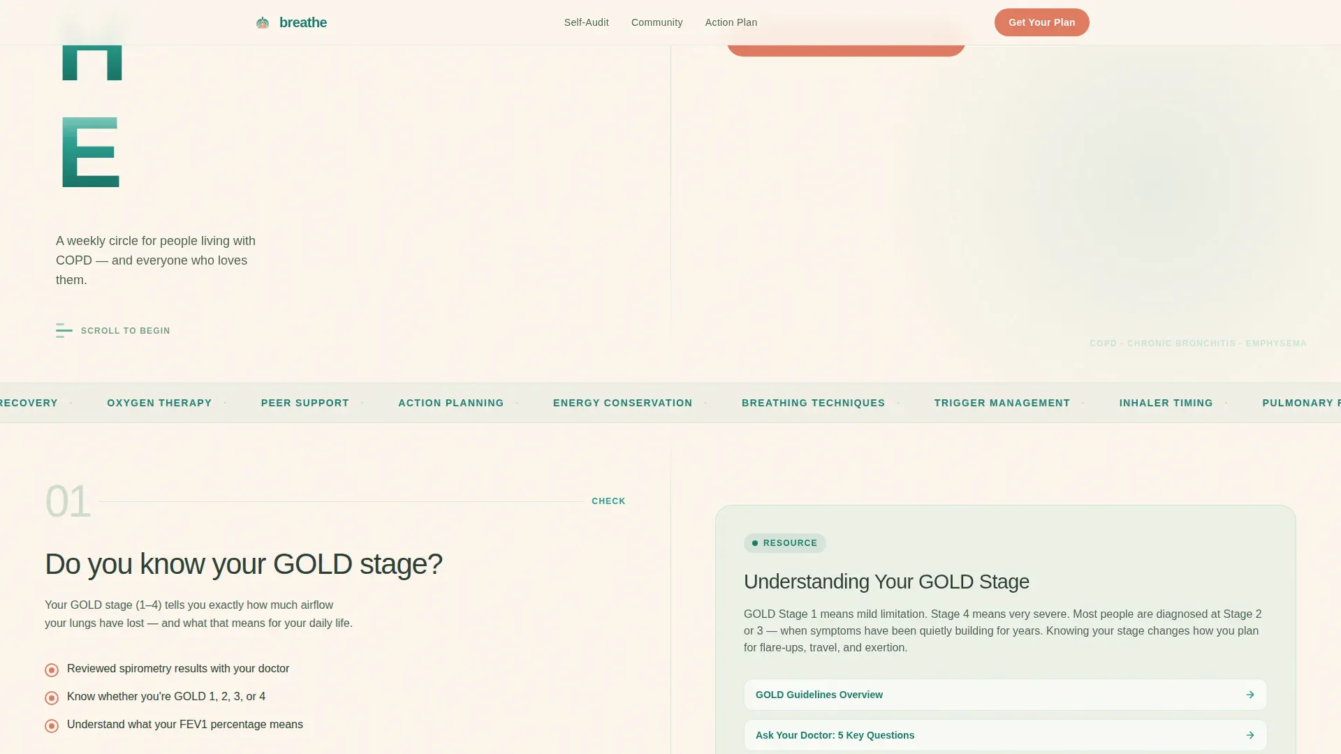 COPD Care Specialist Professional Website Template
