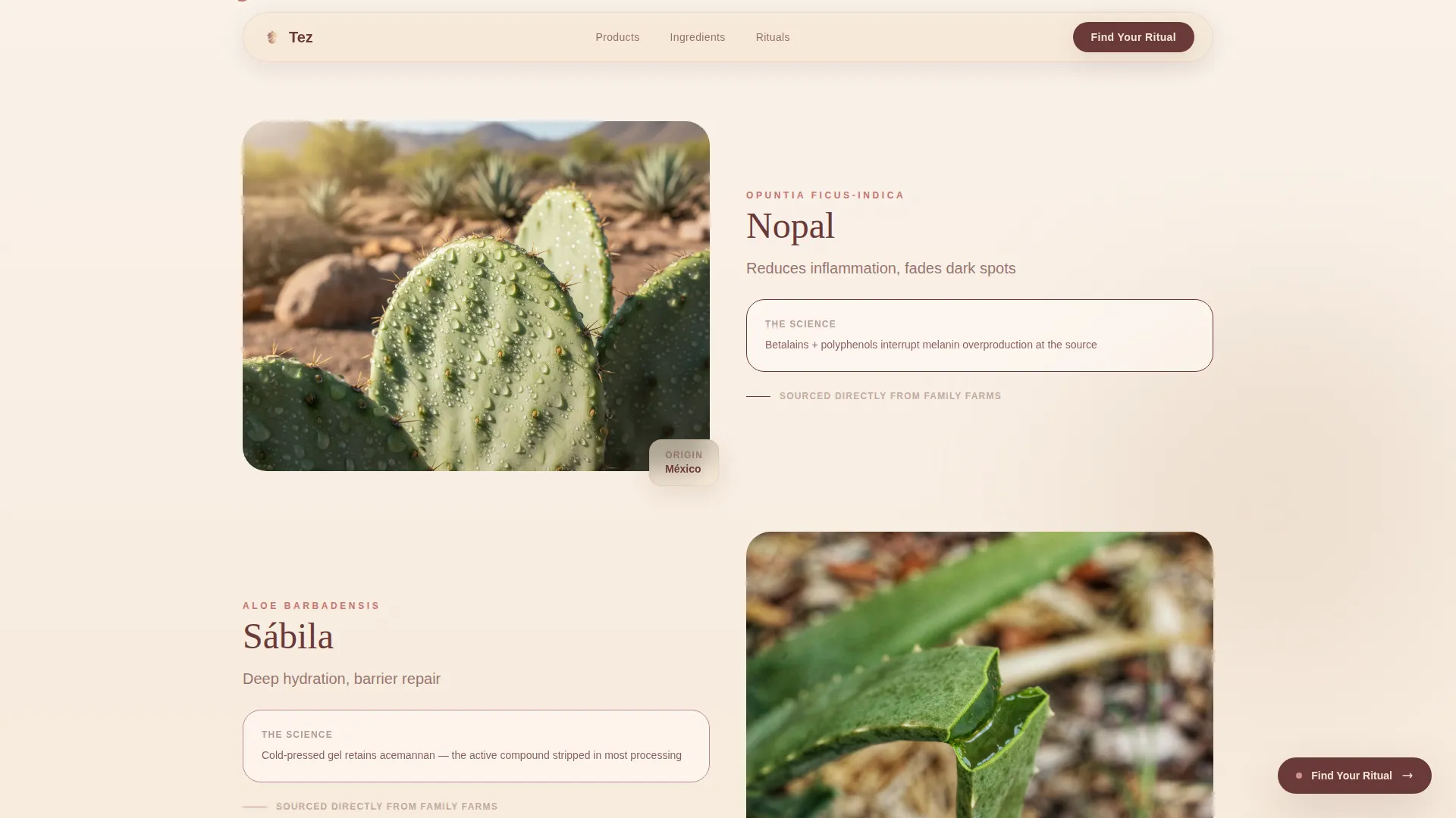 Radiant Skincare | Free Website Template | Rocket