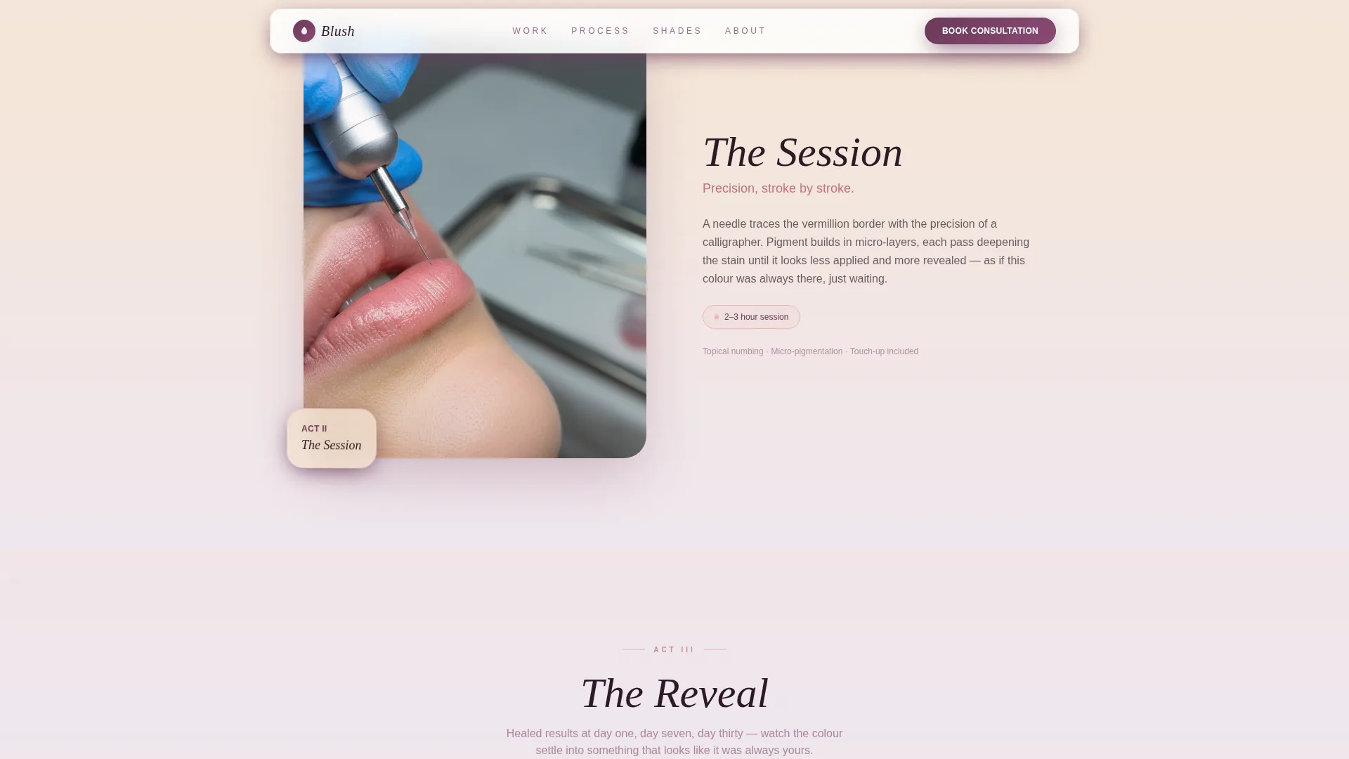Specialty Beauty Treatments Premium Booking Website Template